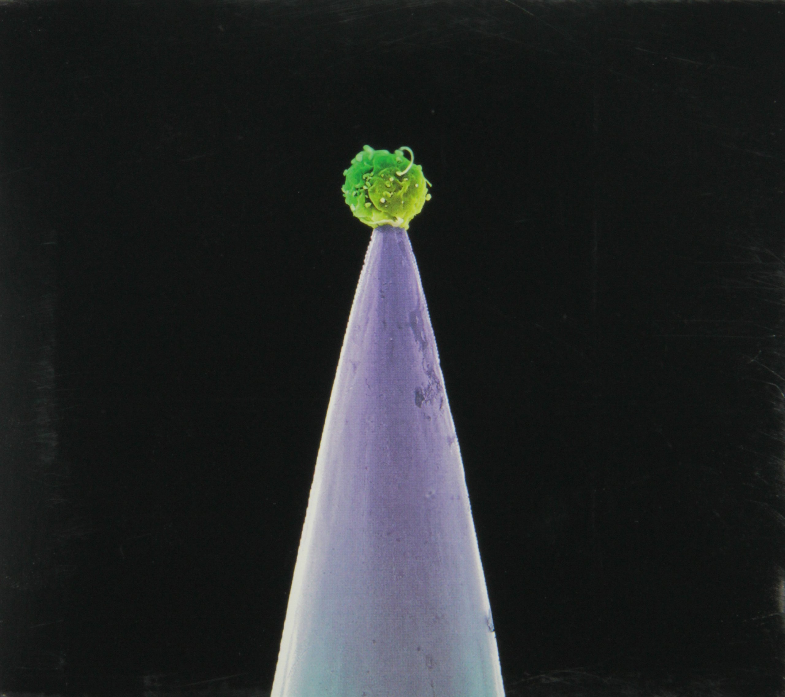 Gabriel Peter-New Blood-Special Edn