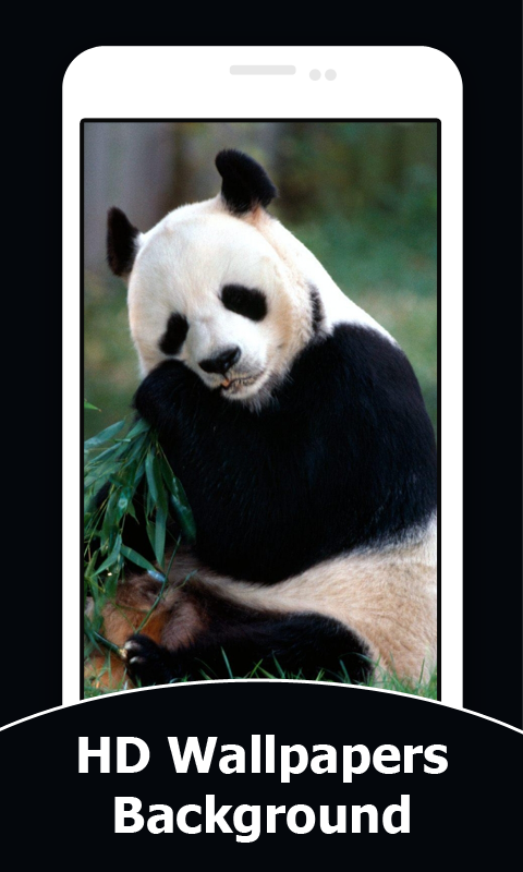 Panda Wallpaper Android