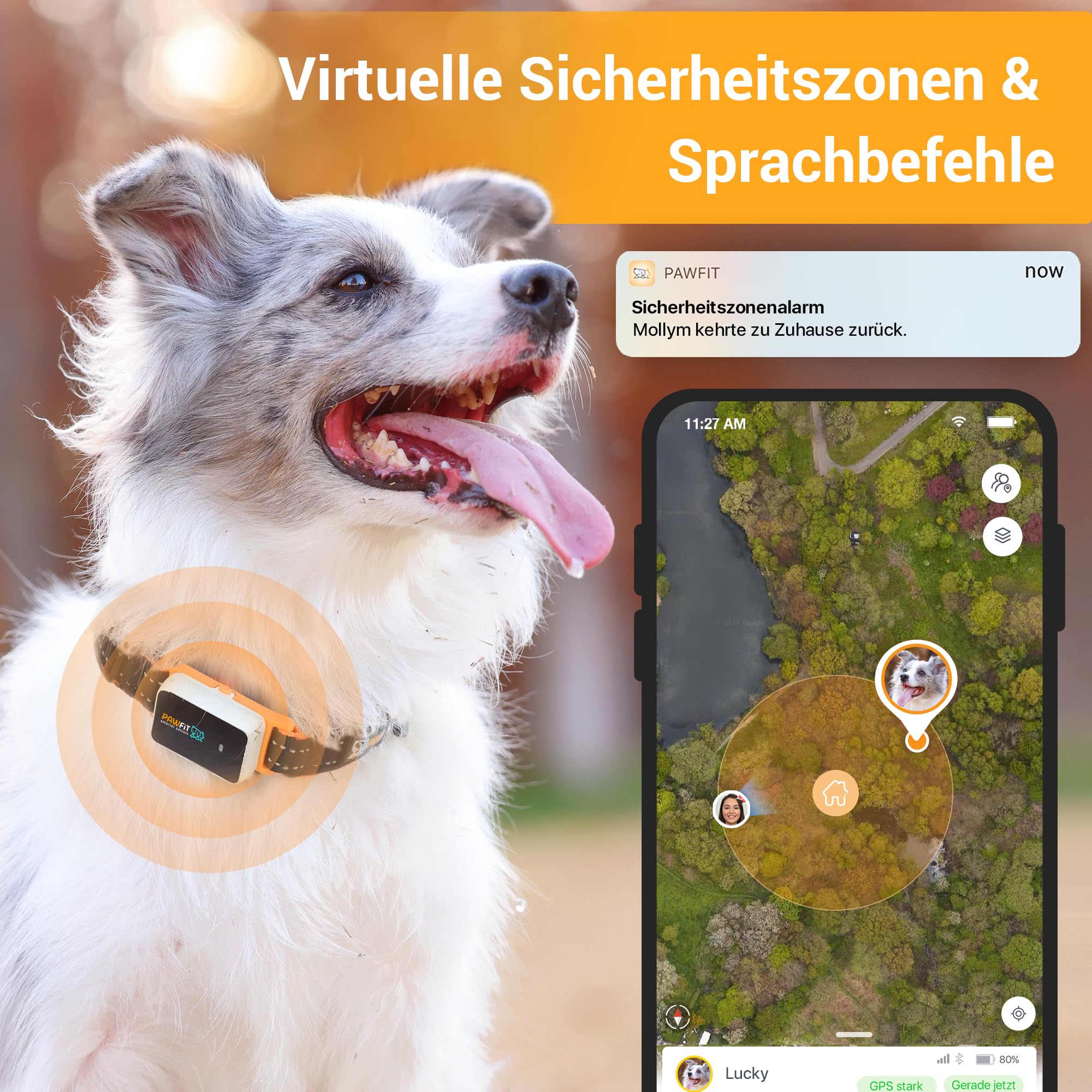 Pawfits 3-GPS-Tracker für Hunde und Katzen| Live-Satellitenortung Weltweit| Weglaufalarm | intelligentes Warnsystem | Fernsprachbefehle | Wasserdicht | Aktivitätstracking | Für Alle Halsbänder