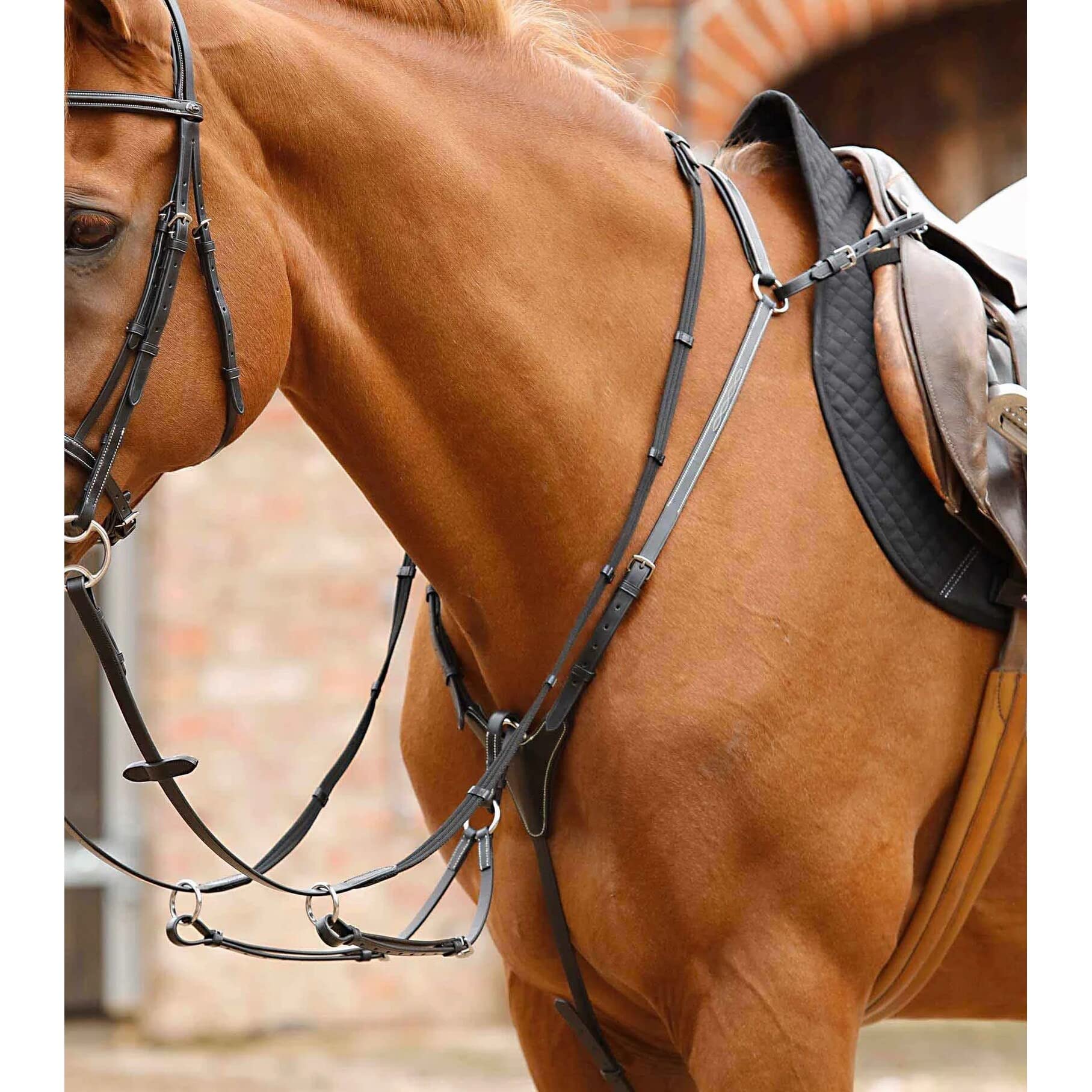 Premier Equine Collare da Caccia per Cavalli Norbello