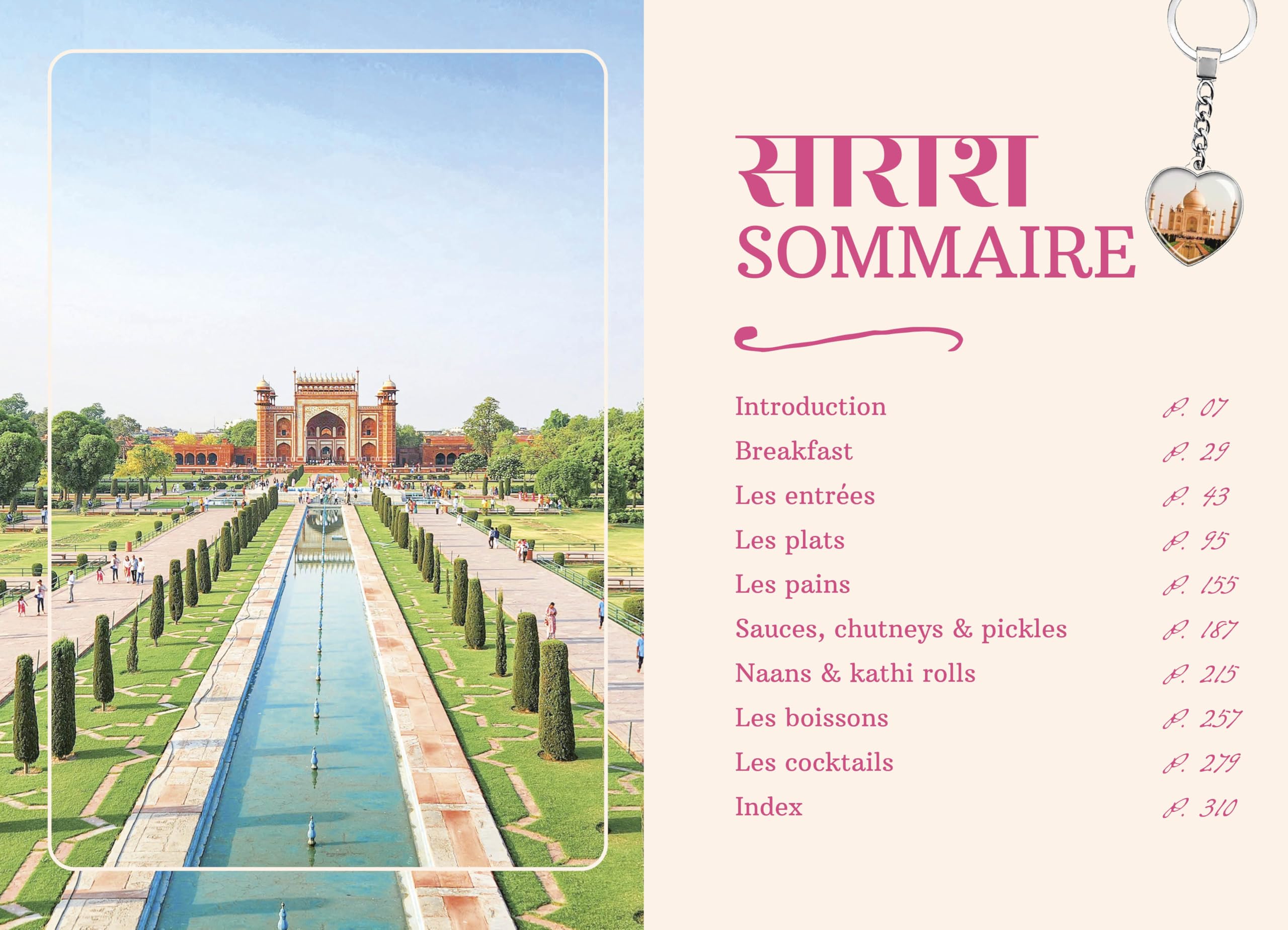 Cuisine indienne: 90 recettes de bistrot indien