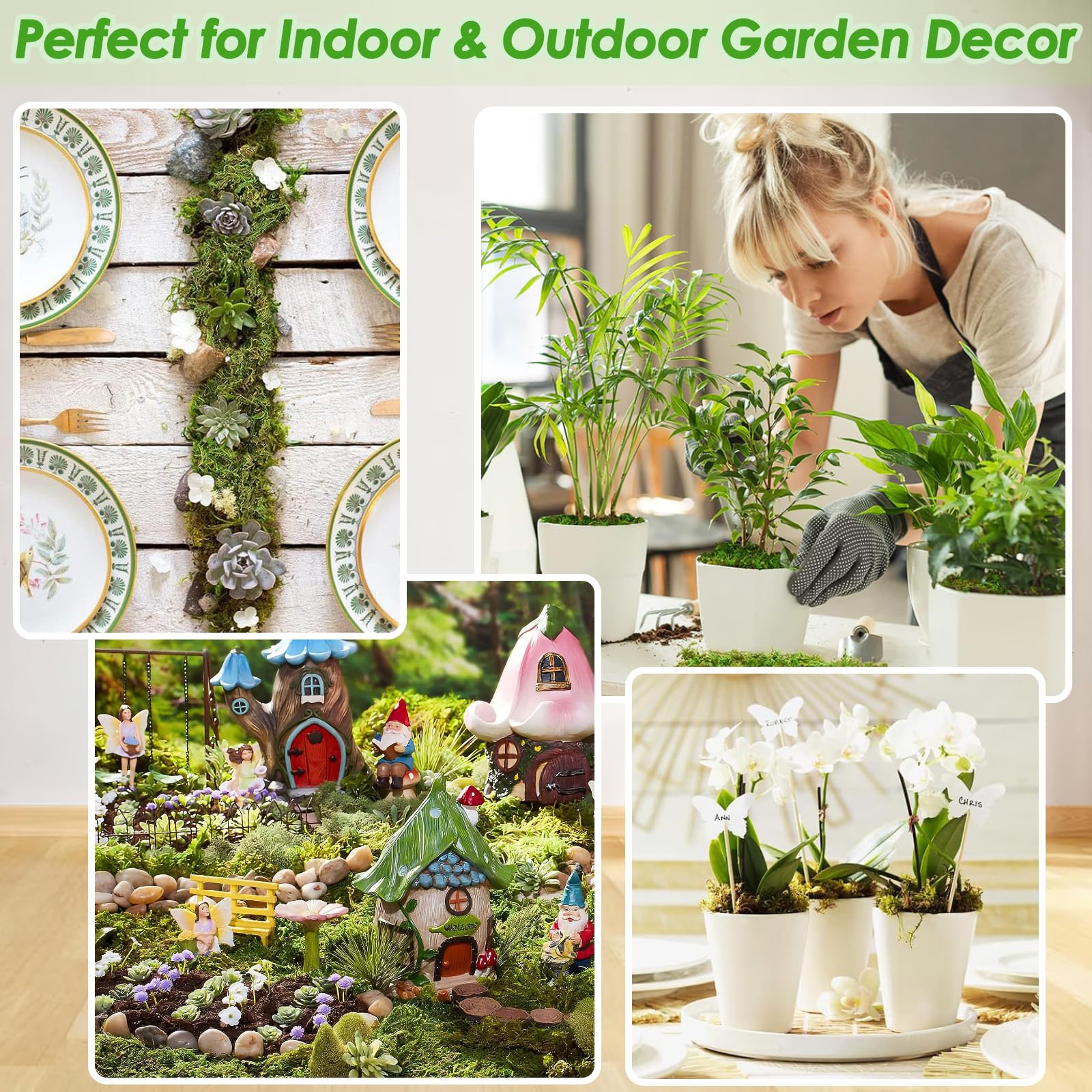Muschio di Sfagno per Orchidea Phalaenopsis Decorazioni Terrario per Rettili, 150g Naturale Verde Sfagno Secco Giardino Idratante Nutrizione Fertilizzante Organico Dried Forest Moss Sphagnum Moss (1)