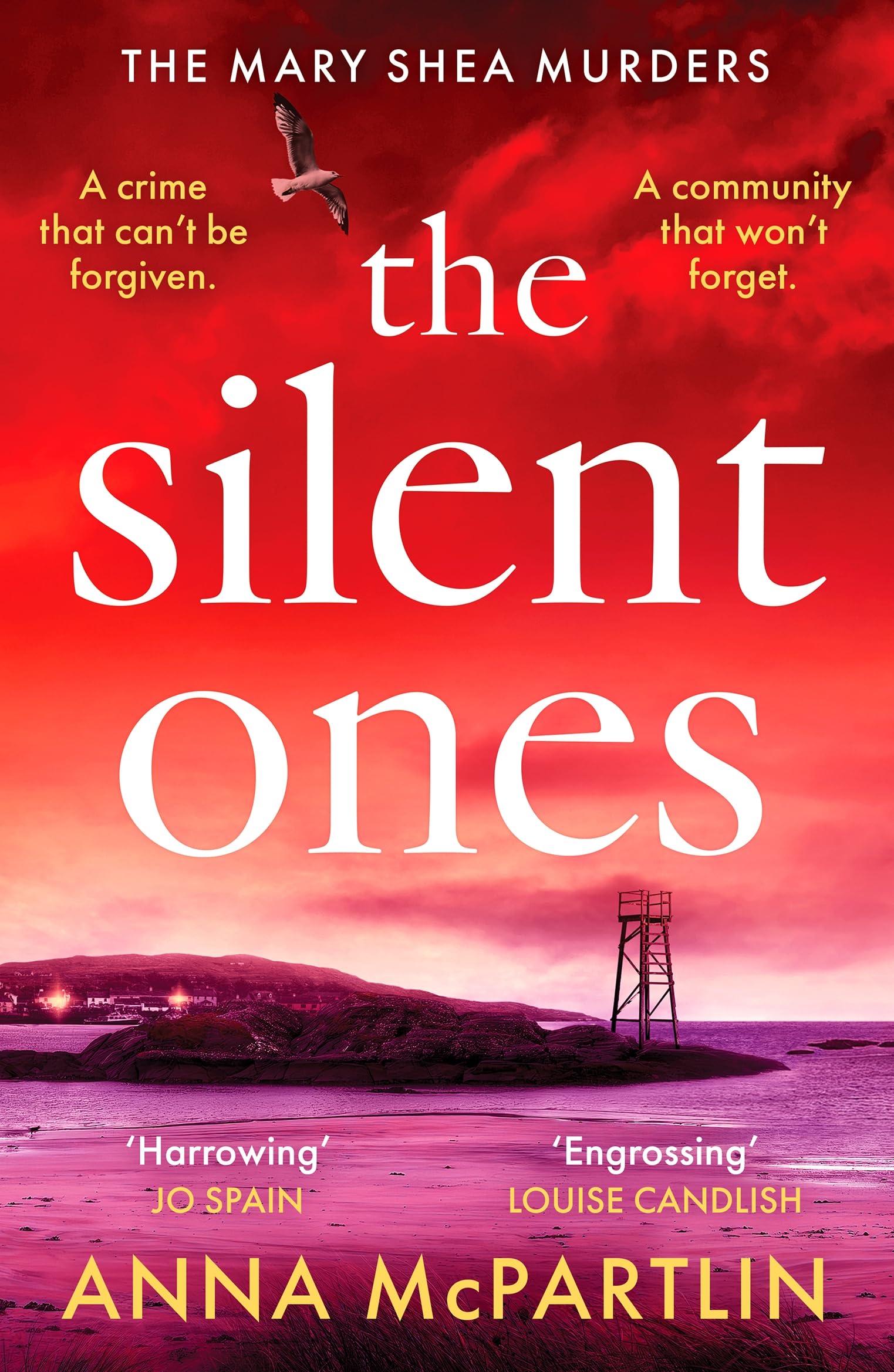 The Silent Ones : An unmissable Irish crime thriller from an international bestseller