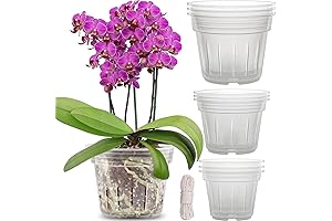 REMIAWY 9 Pack Clear Orchid pots