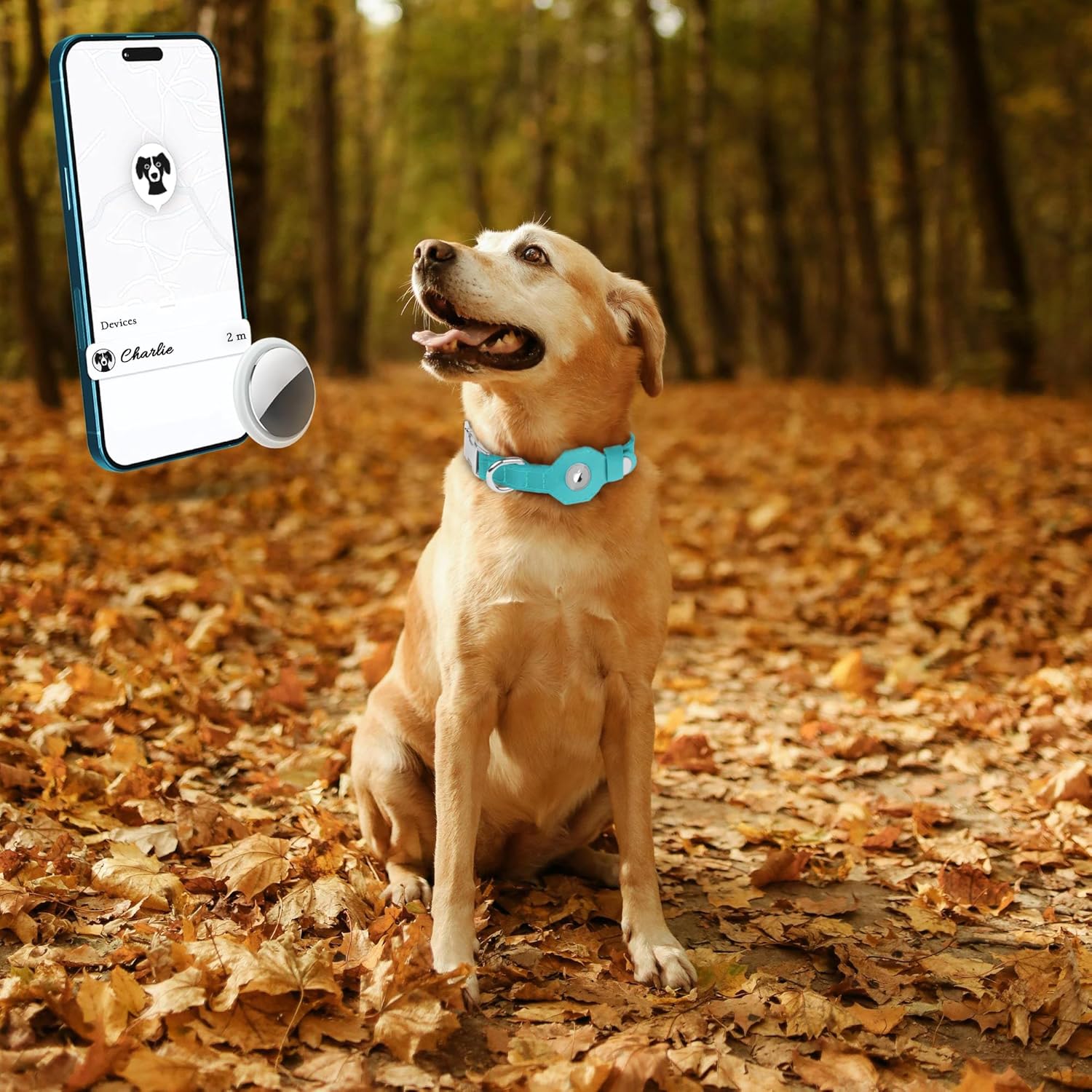 Leather Dog Collar with Airtag Holder - Soft Adjustable Airtag Dog Collar with Metal Buckle - GPS Tracking Apple Air Tag Pet Collar for Small Large Dogs (Aquamarine, M, 14"-18" Neck Fit)