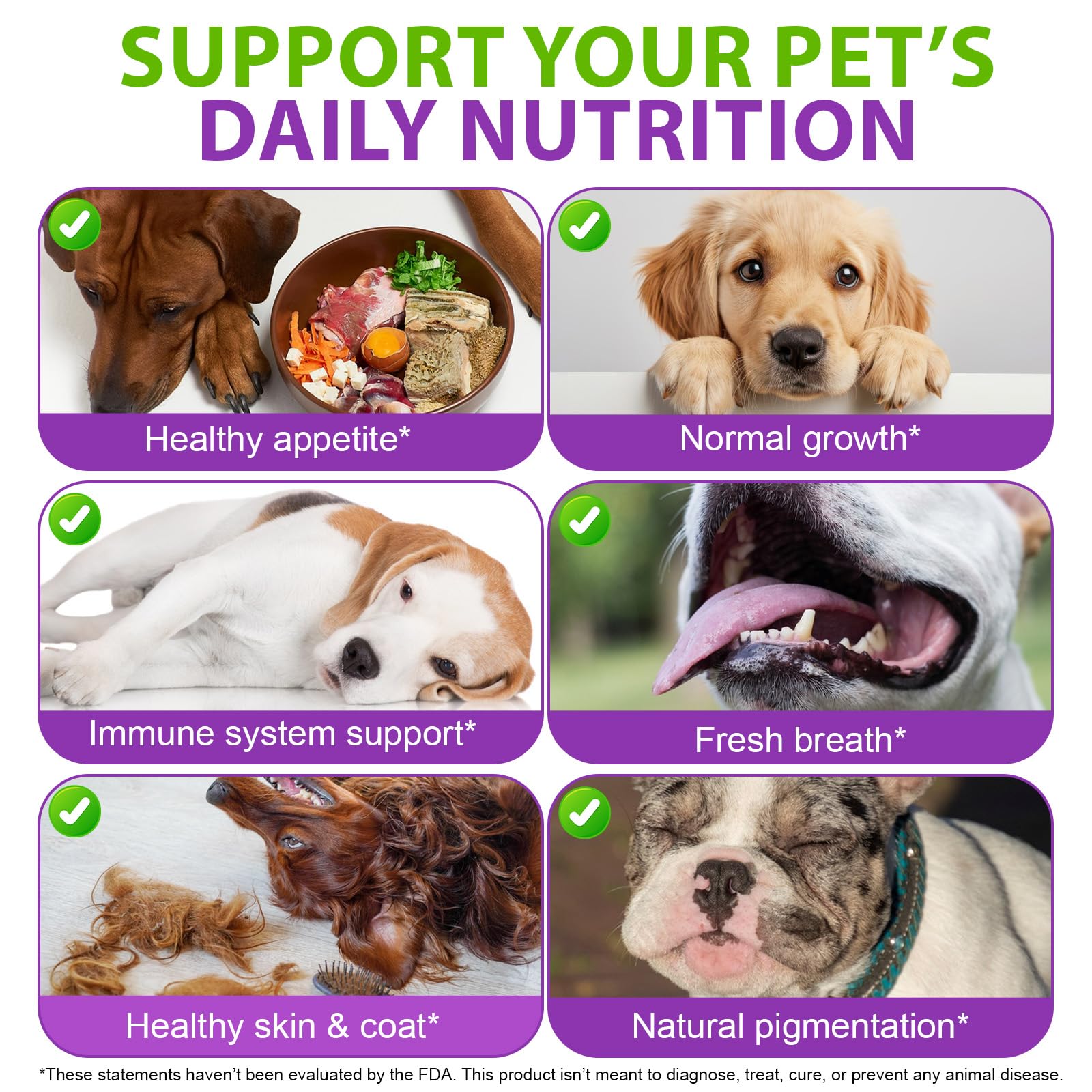 Dog Multivitamin Drops, 15 in 1 Multivitamin Liquid for Dog with Vitamin C-20 Mg, Vitamin D-100 Iu & B1-3,Dog Health Supplements for Skin Care, Joints & Hips,Gut - image 6