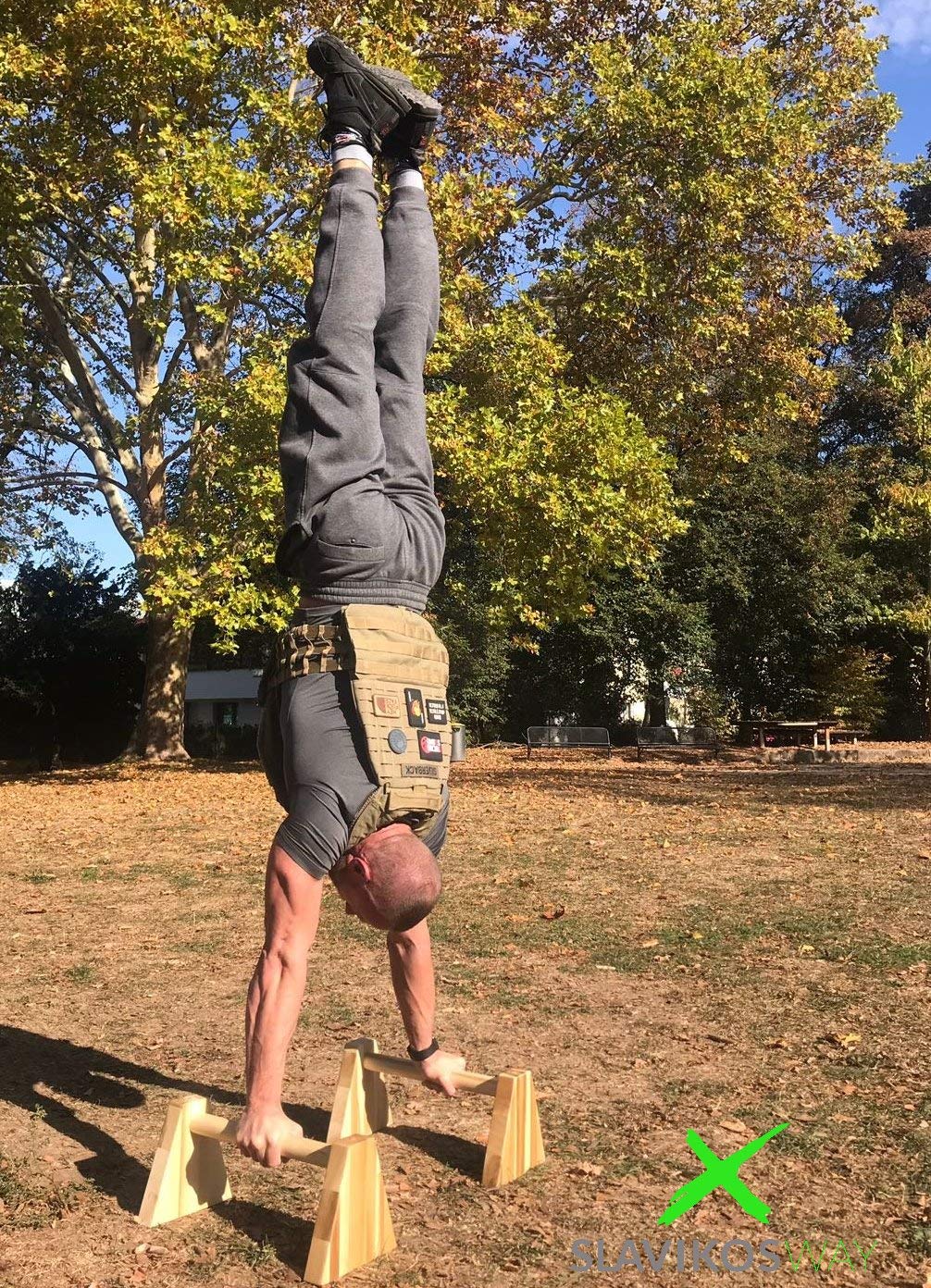 Parallettes Holz Liegestützgriffe Handstandgriffe Stabil Buchsholz Handstand Calisthenics Slavikosway