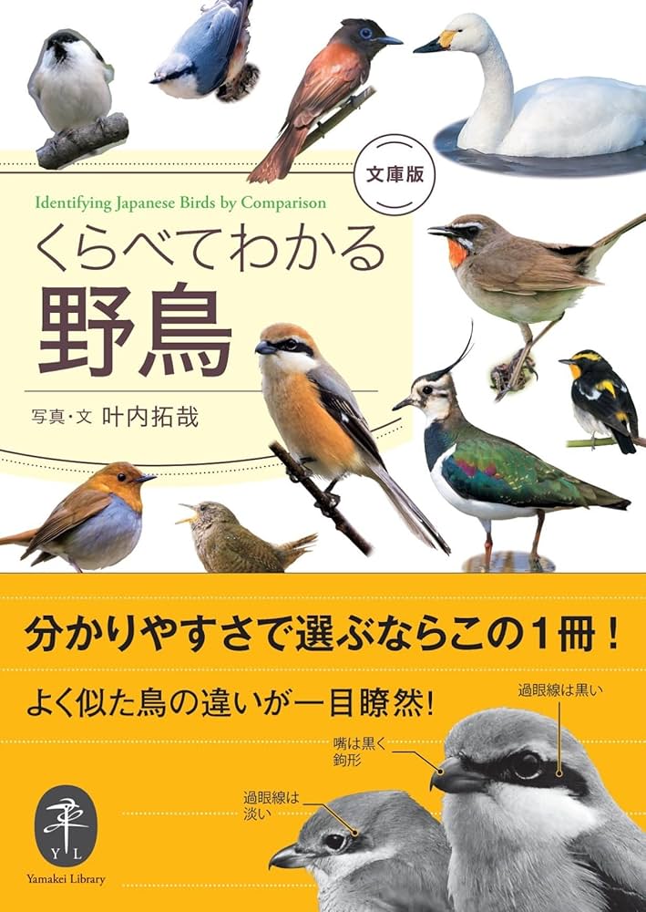 くらべてわかる野鳥 文庫版 (ヤマケイ文庫) | 叶内 拓哉 |本