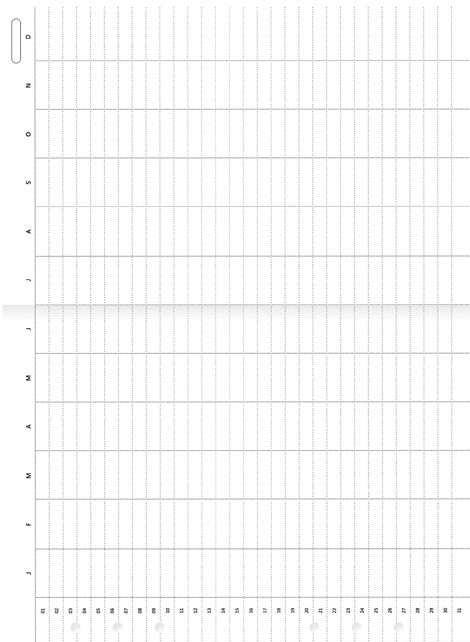 Filofax Clipbook A5 niedatowany planer roczny