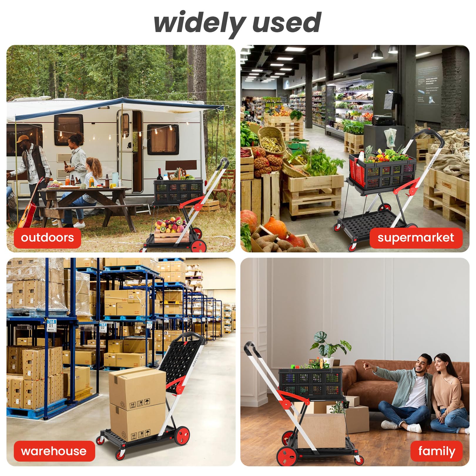 https://m.media-amazon.com/images/I/81QX5BvyMXL.jpg