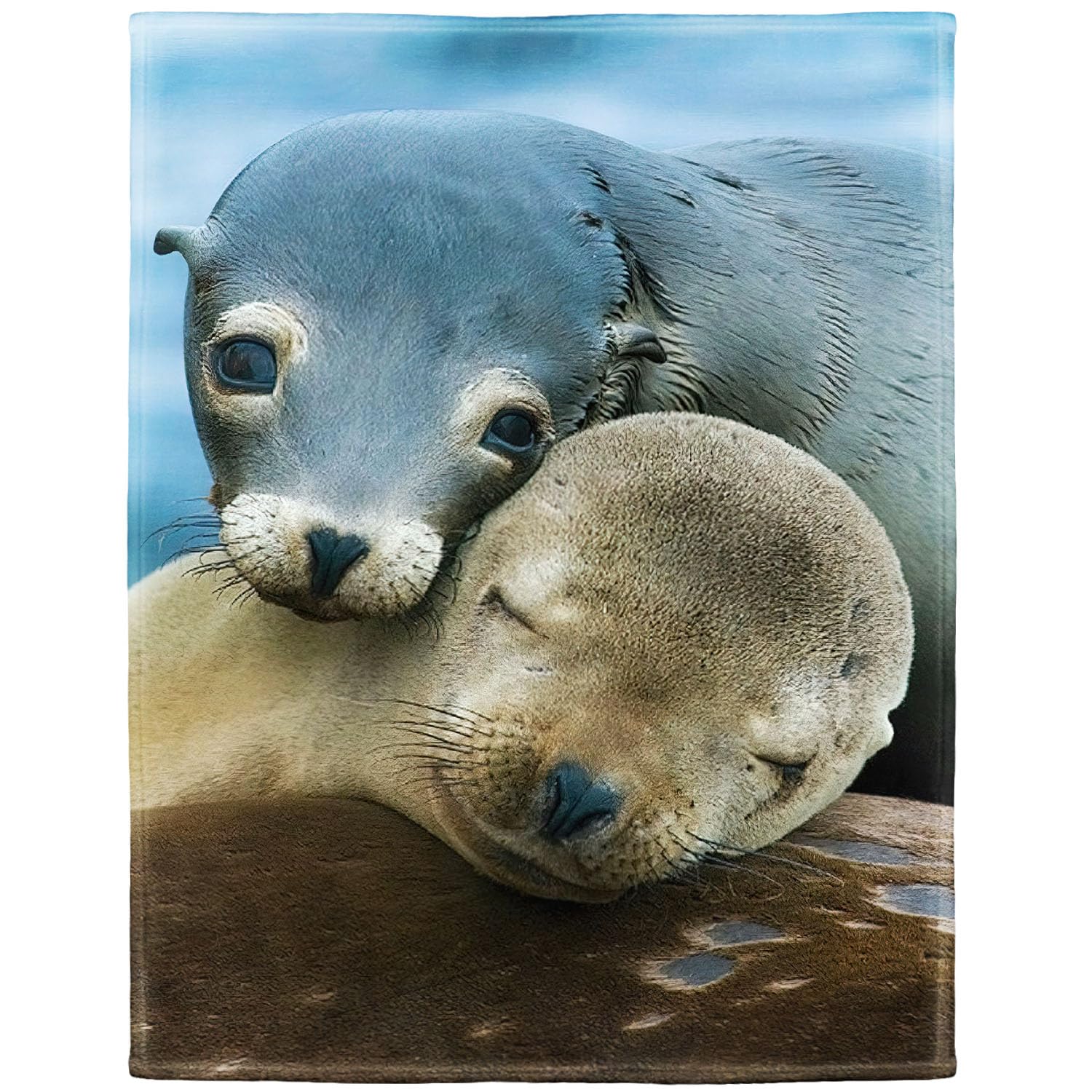 Yomeeaaaa Sea Lions Blanket Marine Cute Animals Fleece Blanket Soft Fuzzy Plush Throw Blankets For Couch Bed 40"X50"
