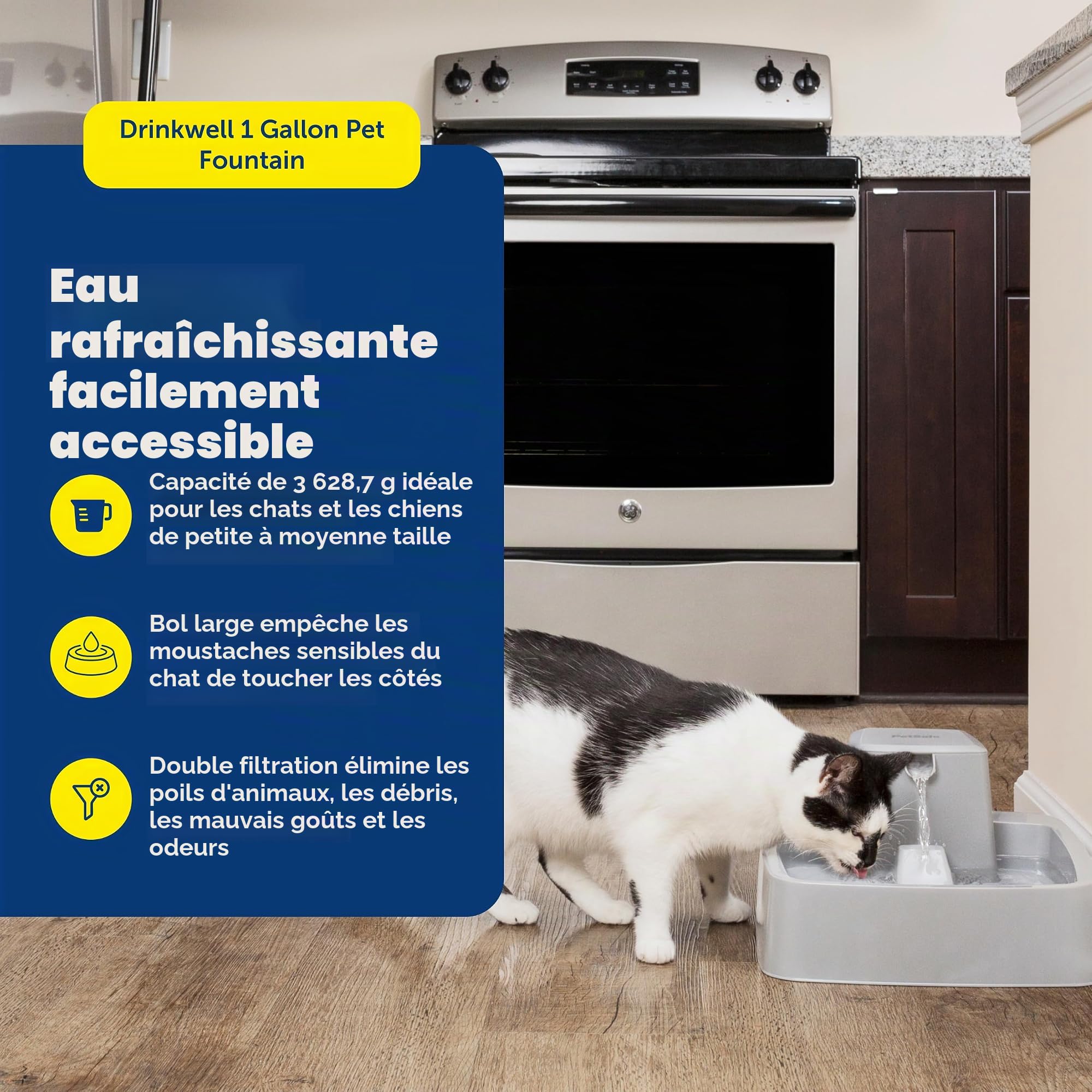 PetSafe Oasys Fontaine à Eau pour Chat ou Chien de Taille Moyenne, Distributeur d'eau filtrée Lavable au Lave-Vaisselle avec contrôle du débit, filtres Inclus, Facile à Nettoyer