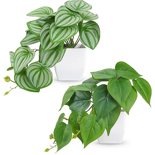 Der Rose 2 Packs Small Fake Plants Artificial Plants for Home Bedroom Aesthetic Living Room Bathroom Farmhouse Decor Indoor