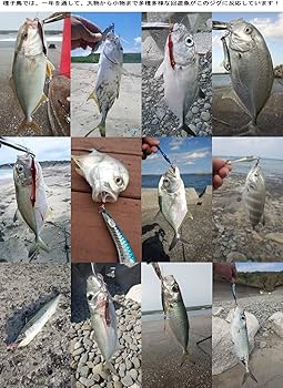 Amazon.co.jp: ○ 泳ぐ メタルジグ ○ ミノー派も使いたくなる軽比重 Amazon.co.jp: ○ 泳ぐ メタルジグ ○ ミノー派も使いたくなる軽比重