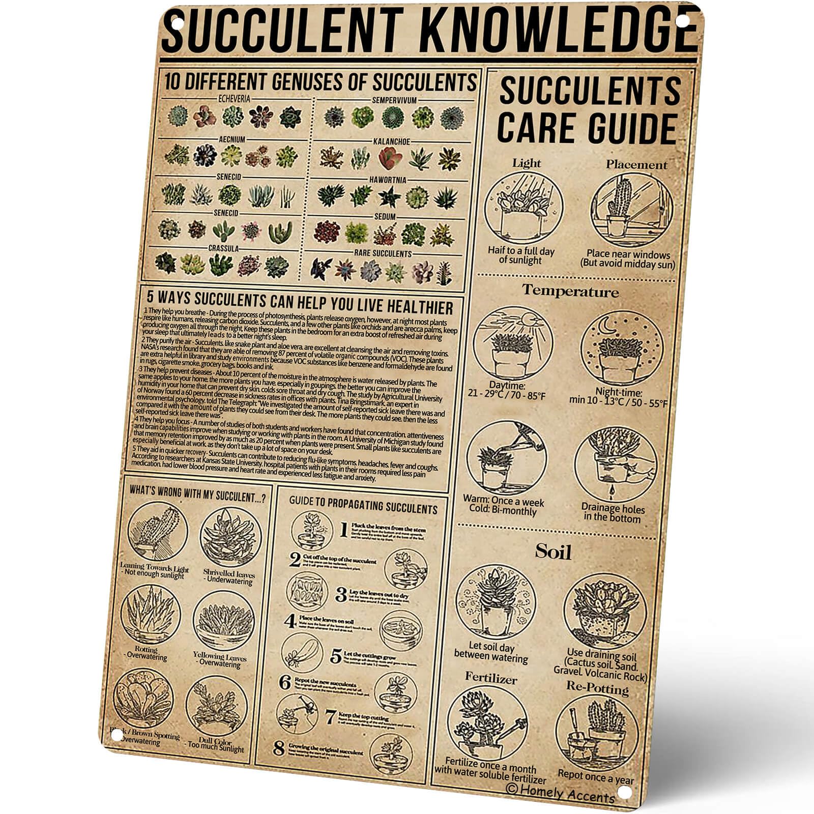 peiyeety Vintage Succulent Knowledge Succulent Care Guide Gardeners Plant Lovers Poster Metal Aluminium Tin Sign Wall Decor 8"x12"