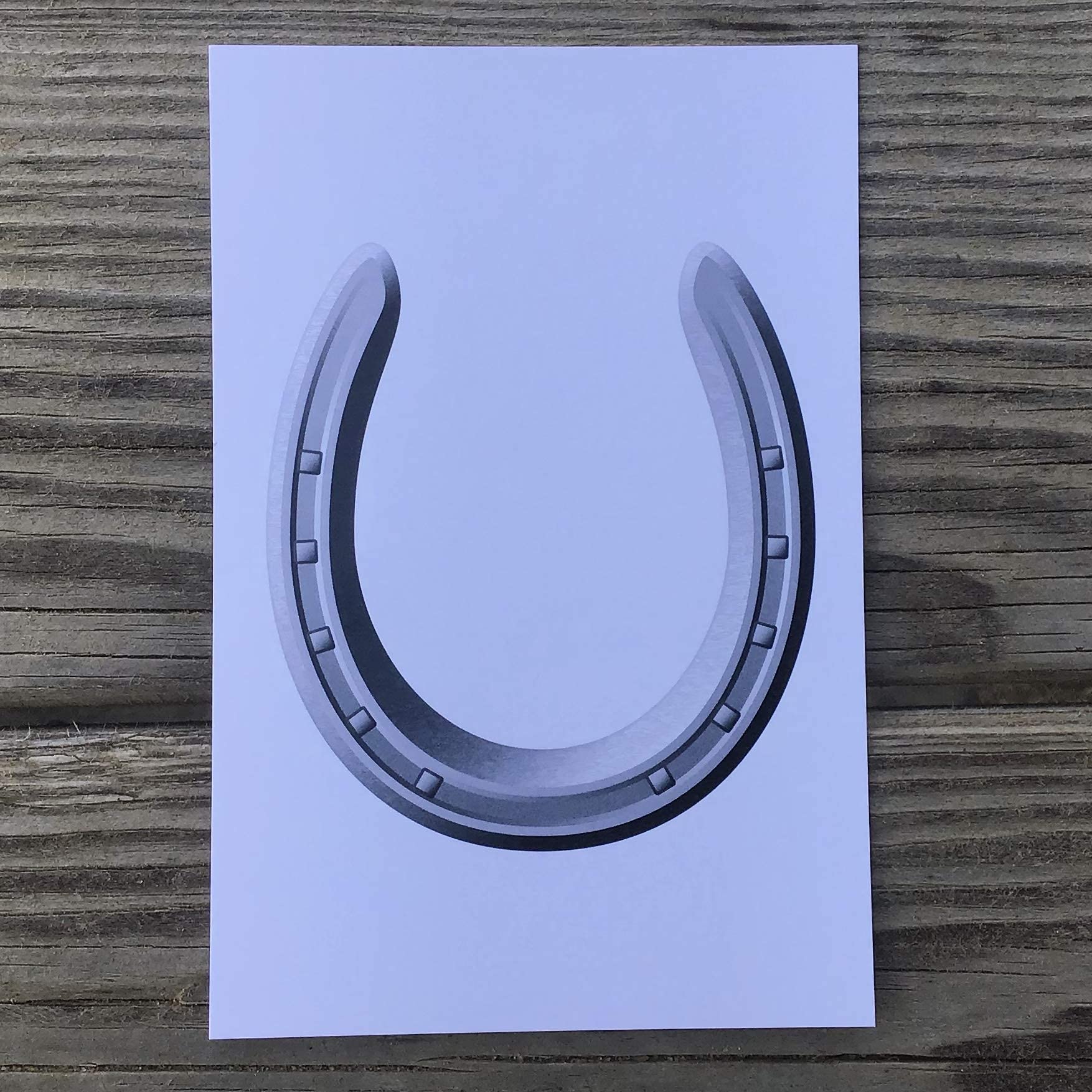 Lucky Horseshoe (Authentic REAL horseshoe worn by a Horse and ready to