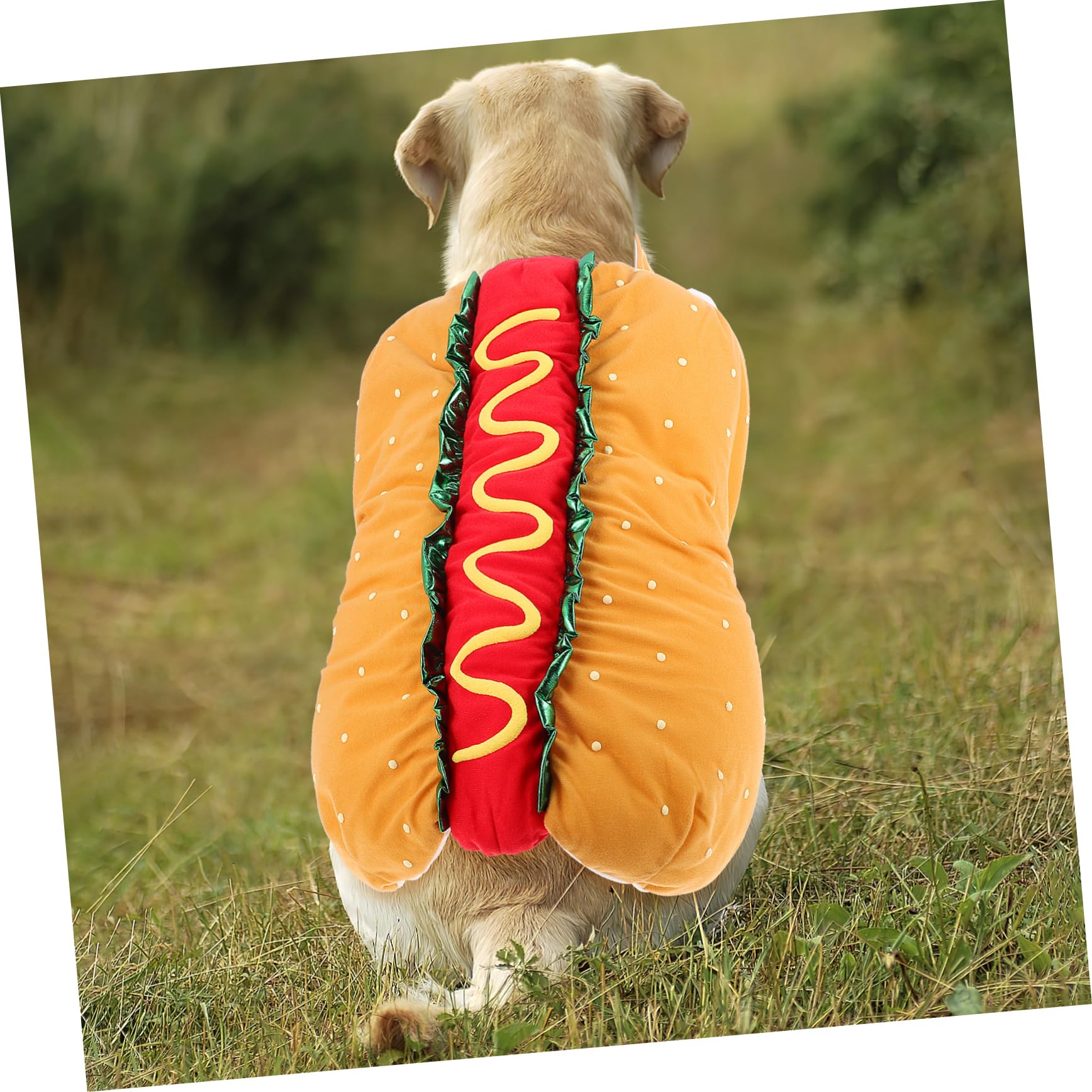 BESTonZON Costume per Animali Poliestere Leggero per Gatto e Cane Carnevale Natale