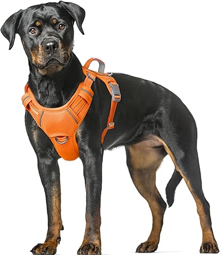 Miniatura 71 de BARKBAY - Arnés sin tirones para perro, reflectante, con clip frontal y asa de fácil control para entrenamiento, paseos y correr, con bolsillo