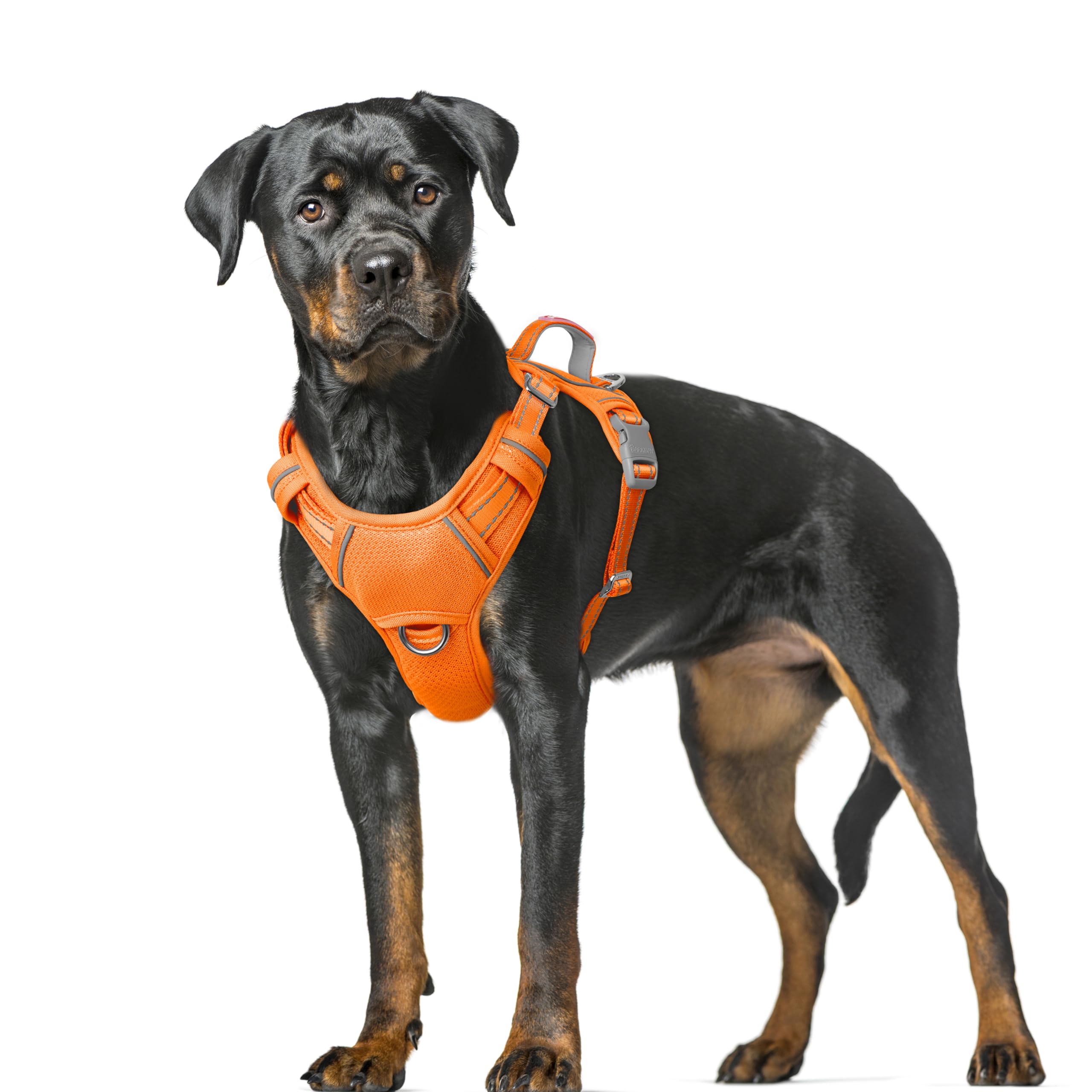BARKBAY No Pull Dog Harness Large Reflective Dog Harness with Front Clip and Easy Control Handle for Walking Training Running with ID tag Pocket(Orange,XL) โ image 1