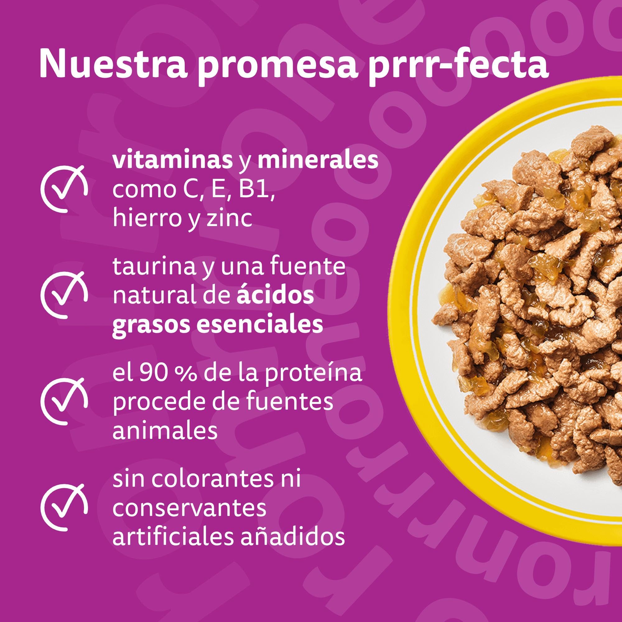 WHISKAS Comida húmeda en gelatina Gatos Adultos Selección de Aves - 4 x 12 bolsitas x 85g