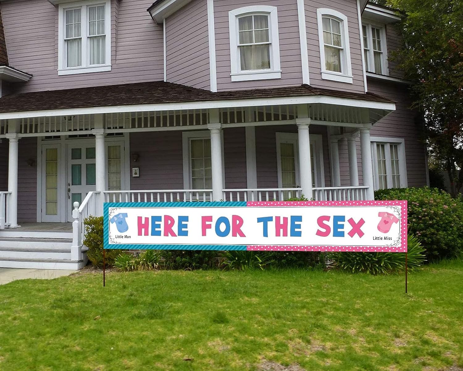 Large Here for the Sex Banner, Big Gender Reveal Party Sign, Gender Reveal Party Hanging Decoration
