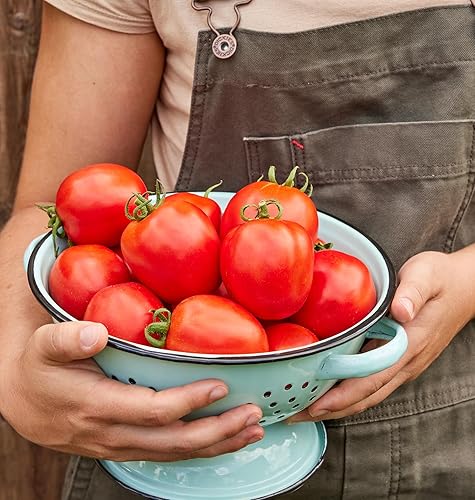 Miniatura 2 de Burpee Semillas de Tomate Fresco Salsa 30 semillas