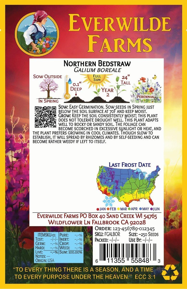 Everwilde Farms - 1 Oz Northern Bedstraw Native Wildflower Seeds - Gold Vault