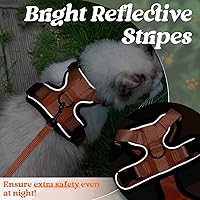 Vista 67 de rabbitgoo Arnés y correa para caminar, a prueba de escapes, chaleco suave y ajustable para gatos, fácil de controlar, transpirable, tiras