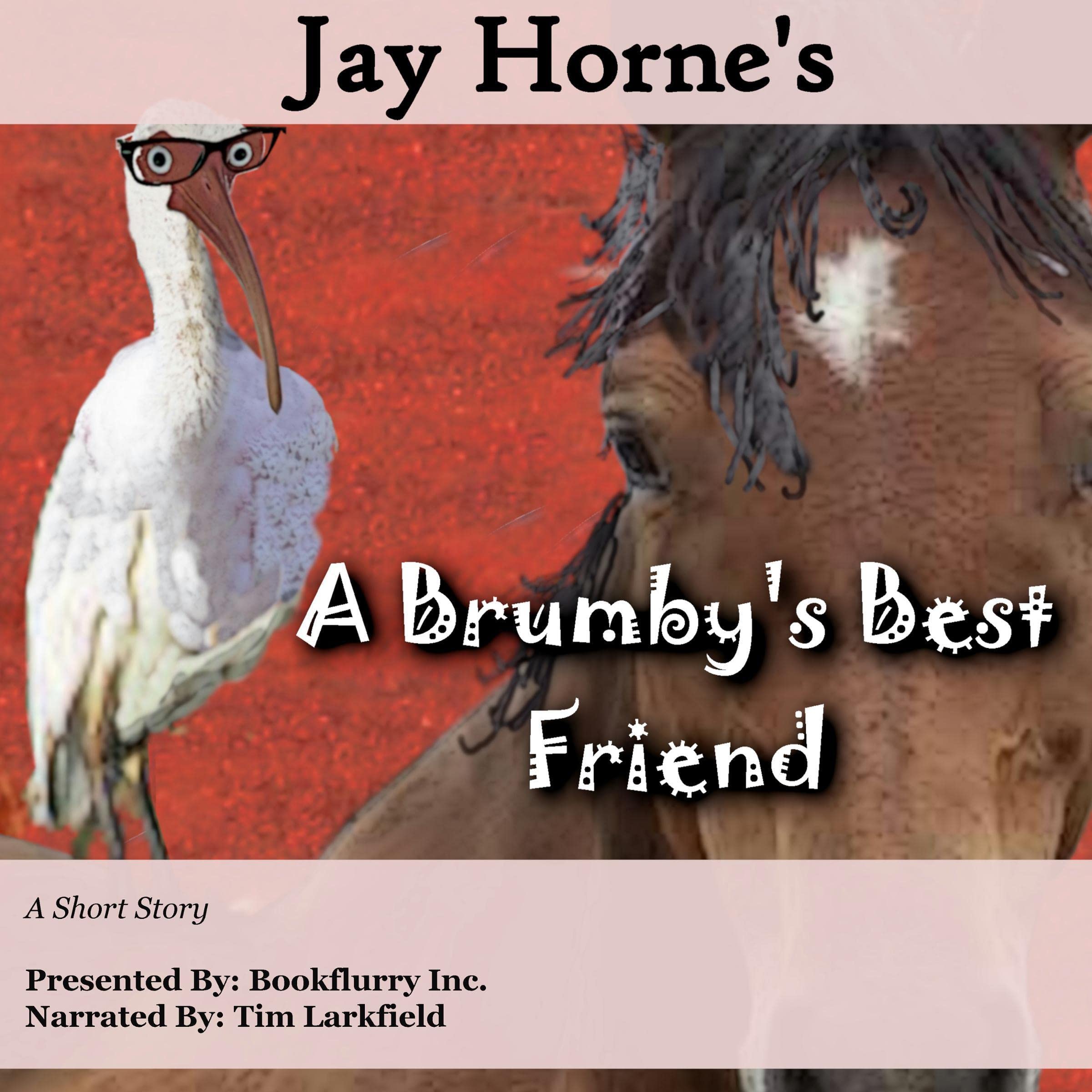 A Brumby's Best Friend