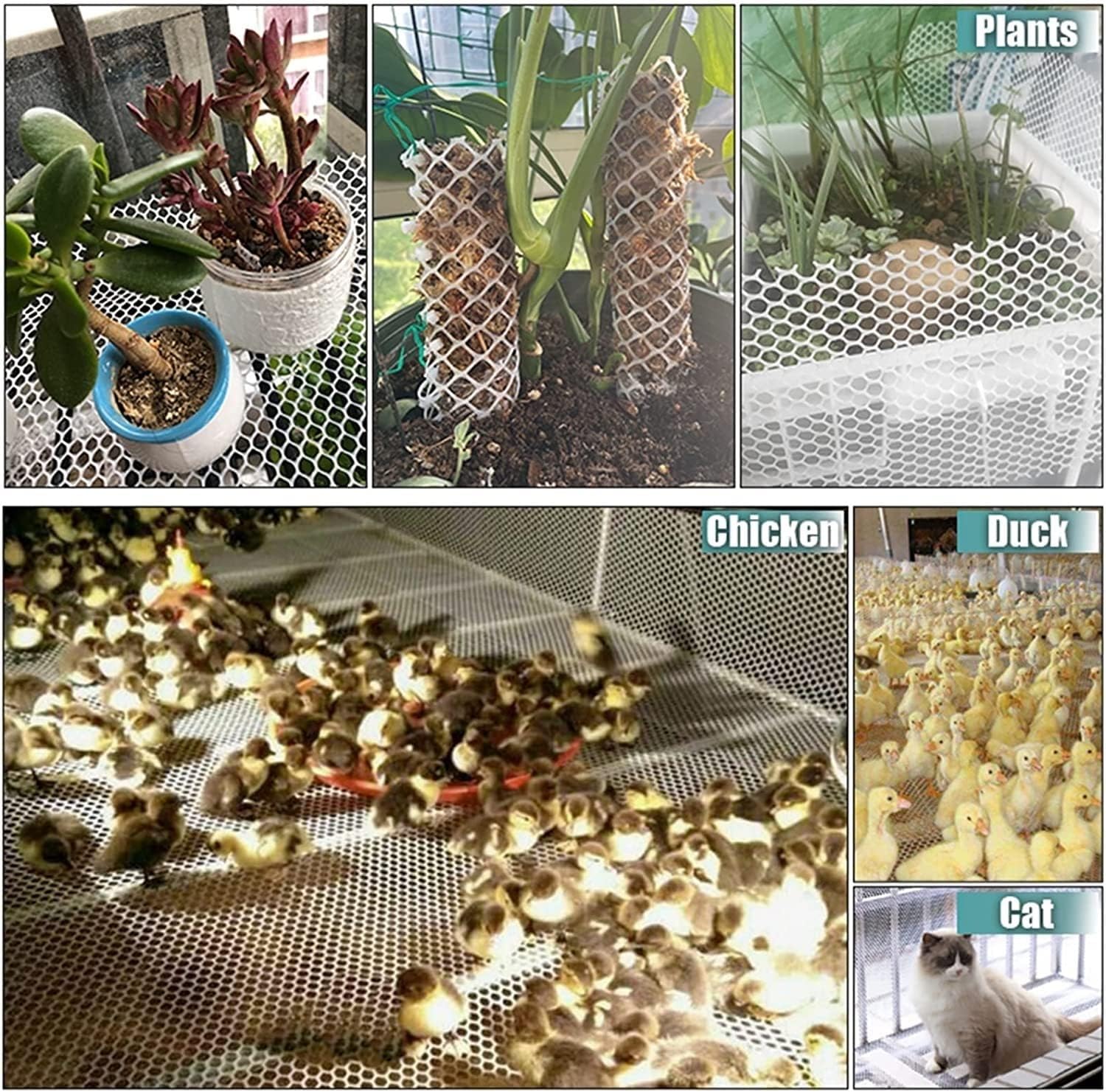 エリザベス2世 追悼記念 1ドル金メッキ銅貨2022年 ニウエ ニウエ 2022