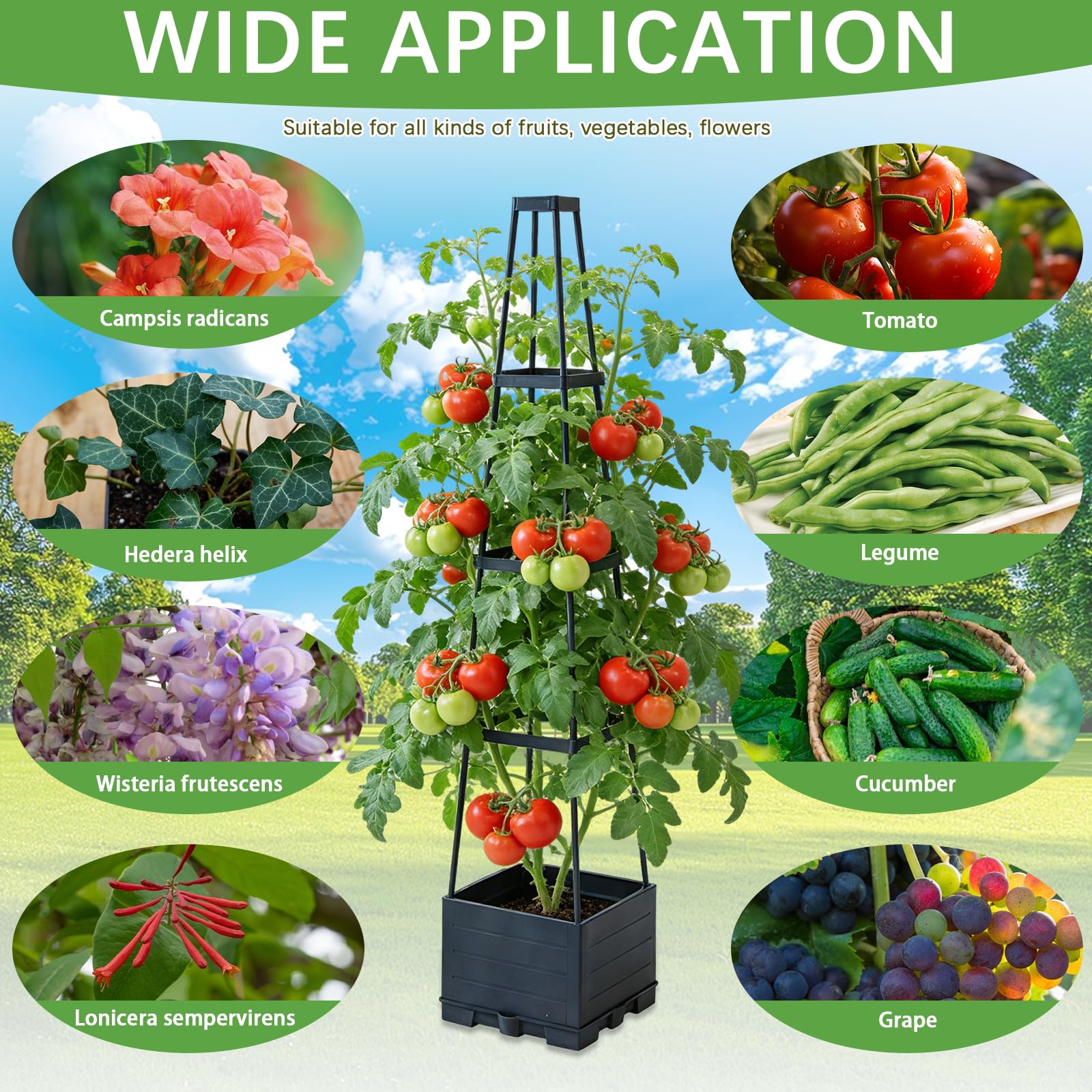 BRGD Lot de 2 Jardinière Surélevée avec Treillis, Arrosage Automatique Jardiniere Tomate pour Culture de Concombres, Haricots, Roses et Pétunias