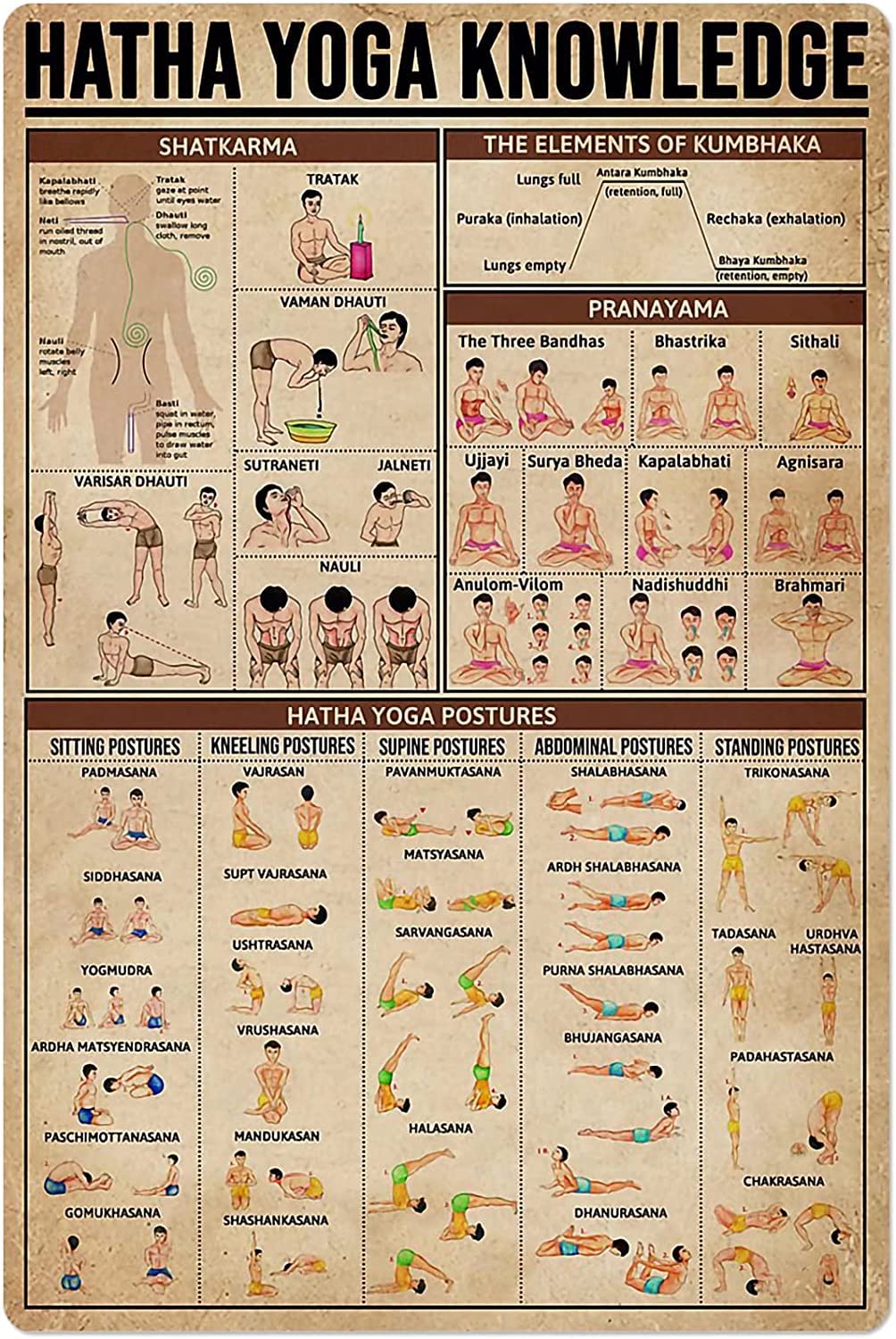 rayprint Yoga Posture Metal Tin Sign Hatha Yoga Knowledge Poster Beginner Classroom Home Living Room Club Cafe Wall Decoration Plaque 8x12 Inches