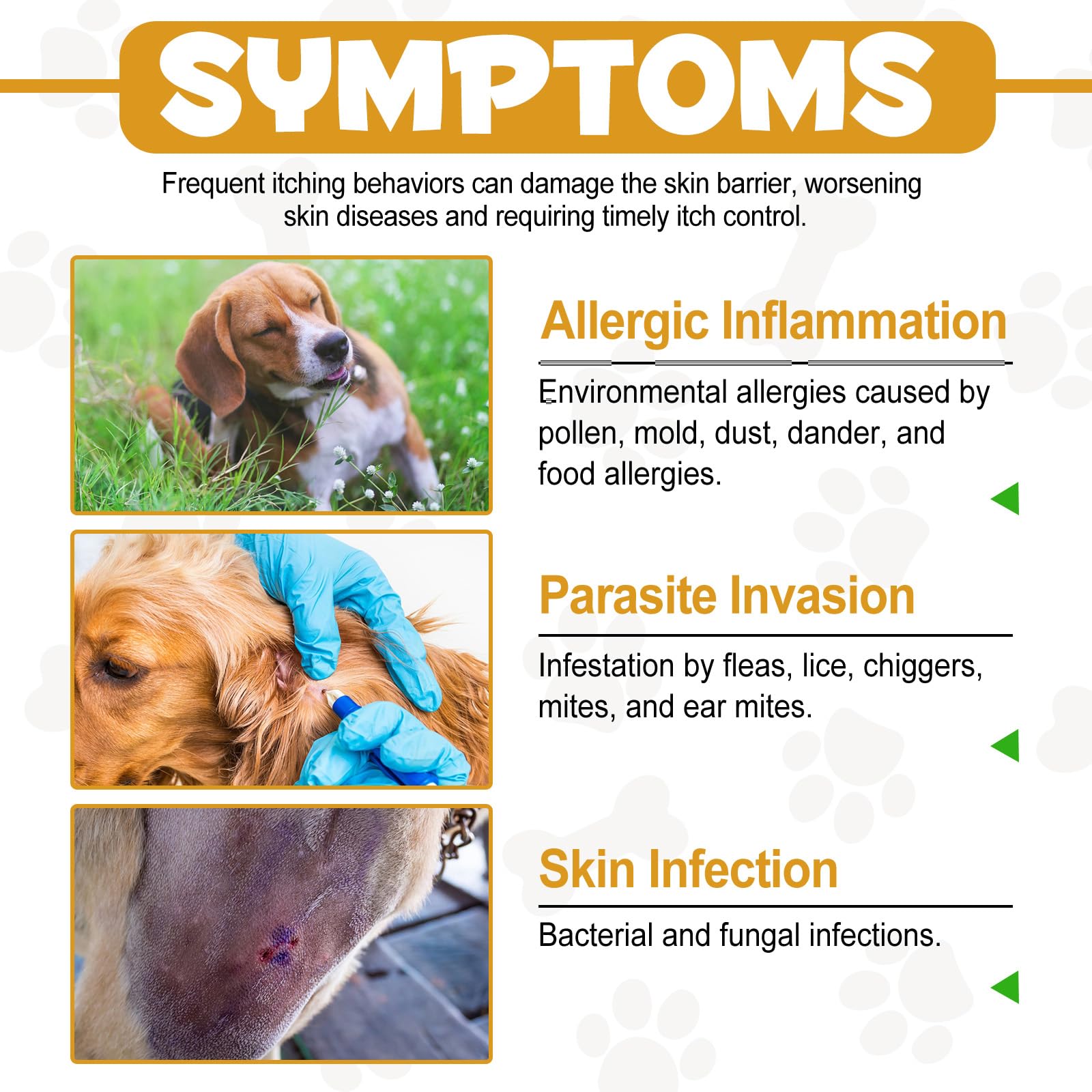 Allergy Relief Drops for Dogs,Allergy and Immune,Immune Support Supplement,Dog Supplement,Natural Pet Supplement for Dog Allergy Relief with Turmeric & Milk Thistle — Amazon image 9