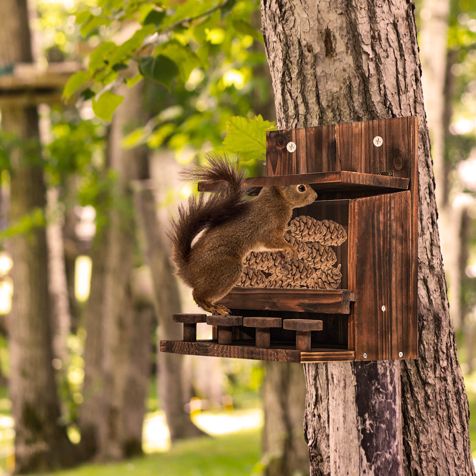 Eichhörnchen Futterhaus aus Holz wetterfest mit Maiskolbenhalter für Garten Balkon