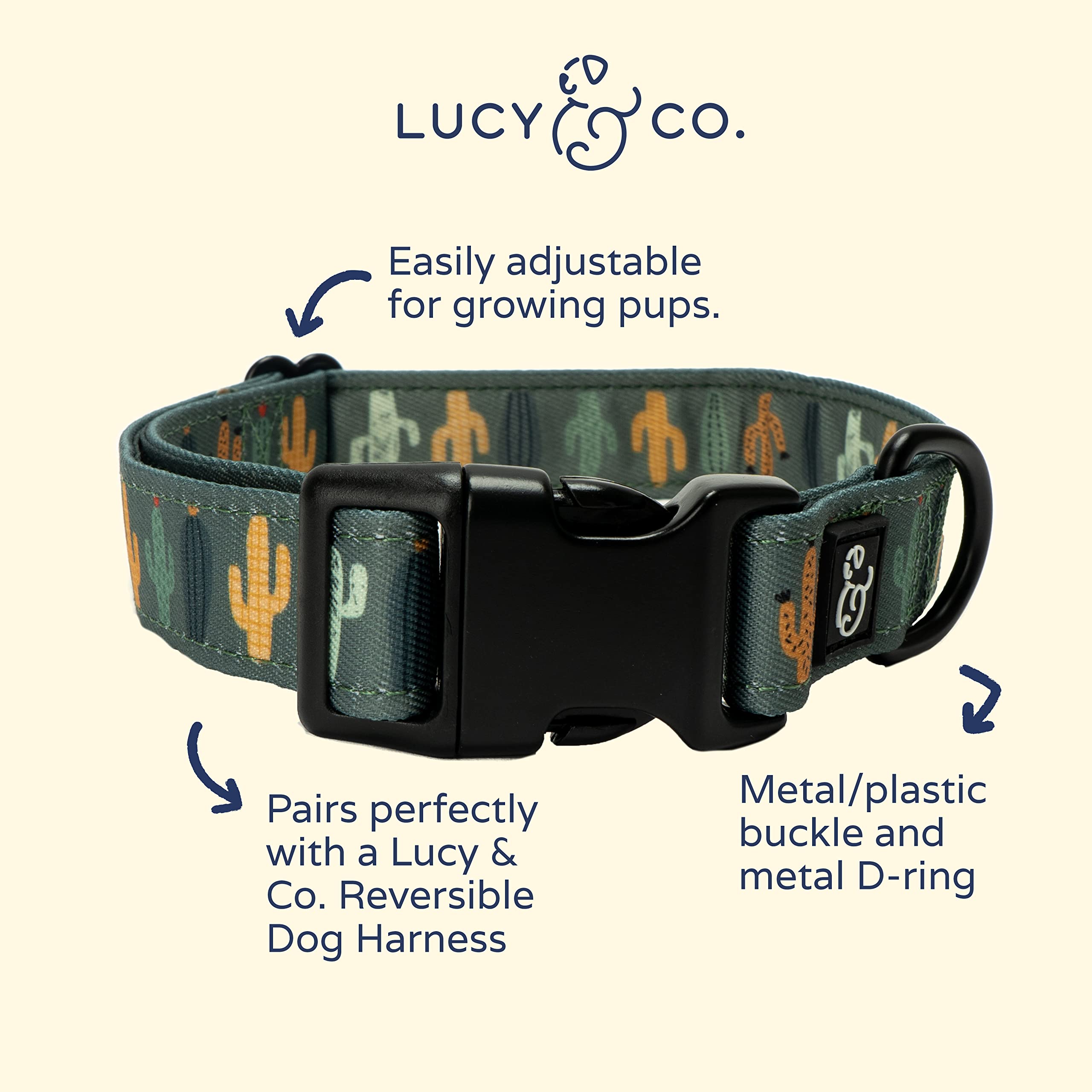 Amazon.com : Lucy & Co. Looking Sharp Dog Collar - Durable