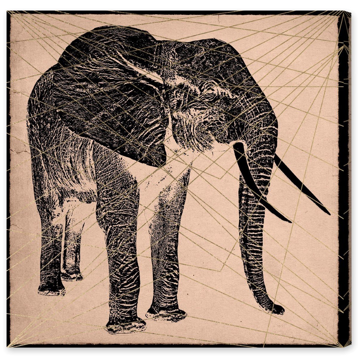 Amazon｜Oliver Gal 「象プリントキャンバスアート 20