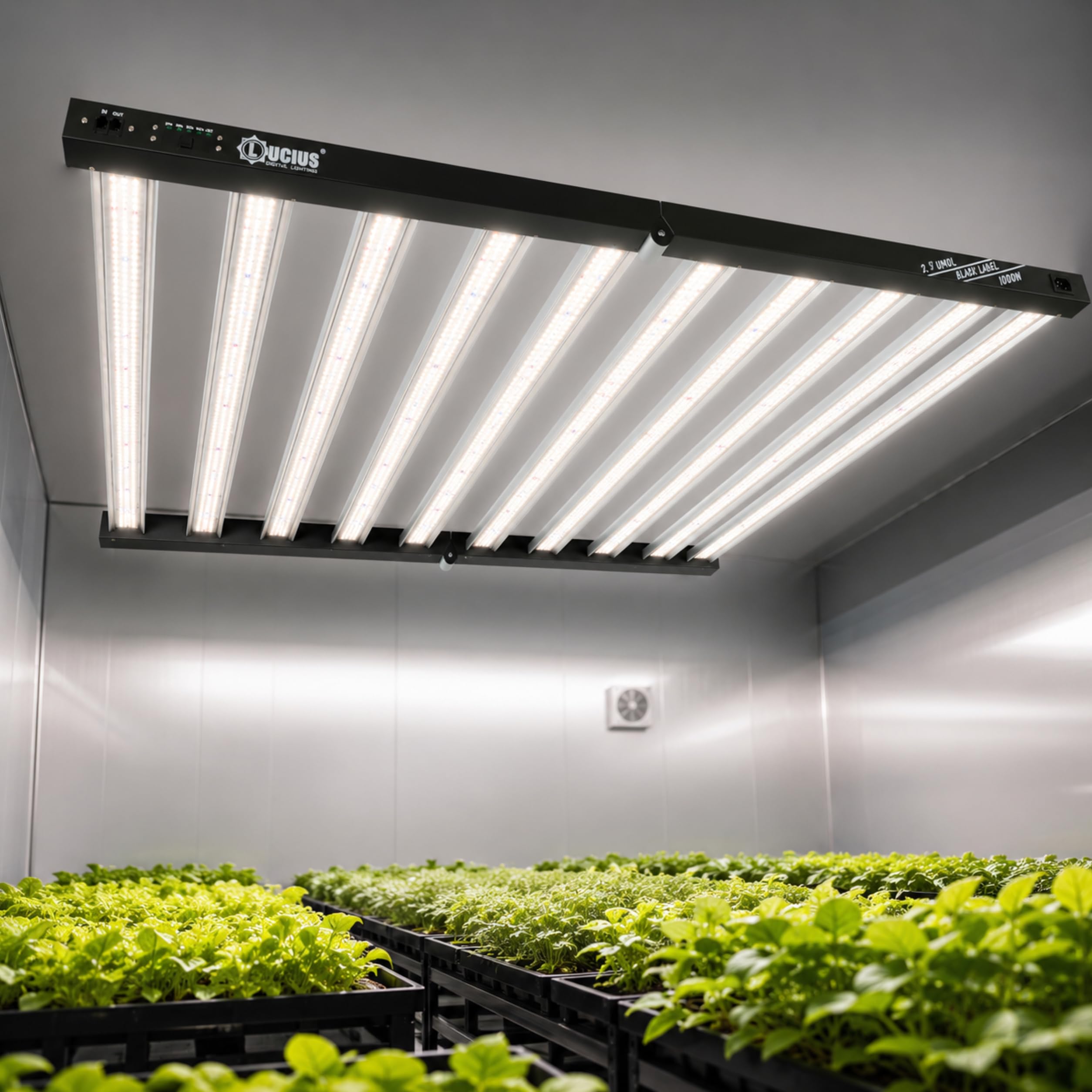 LED 1000W- Iluminación Espectro Completo para Cultivar Plantas en Interior - 2.9 µmol/J, Regulable - Panel LED Profesional para Crecimiento y Floración