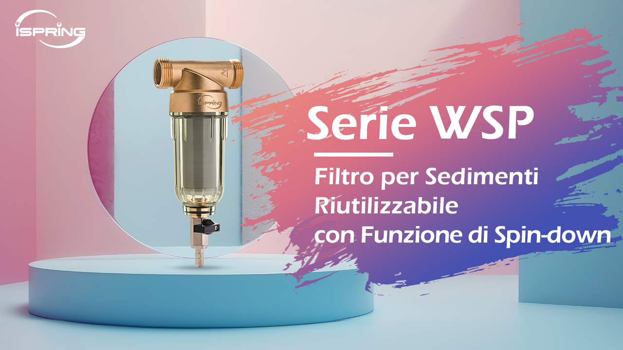 Filtro Sedimenti WSP50-E Per Acqua Casa - 50 Micron, Ottone Senza Piombo, Lavabile E Riutilizzabile - Foto 9
