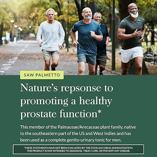 Miniatura 5 de Gaia Herbs Saw Palmetto - Apoya la función saludable de la próstata y la salud urinaria - Saw Palmetto y lecitina de semillas de girasol para apoyar