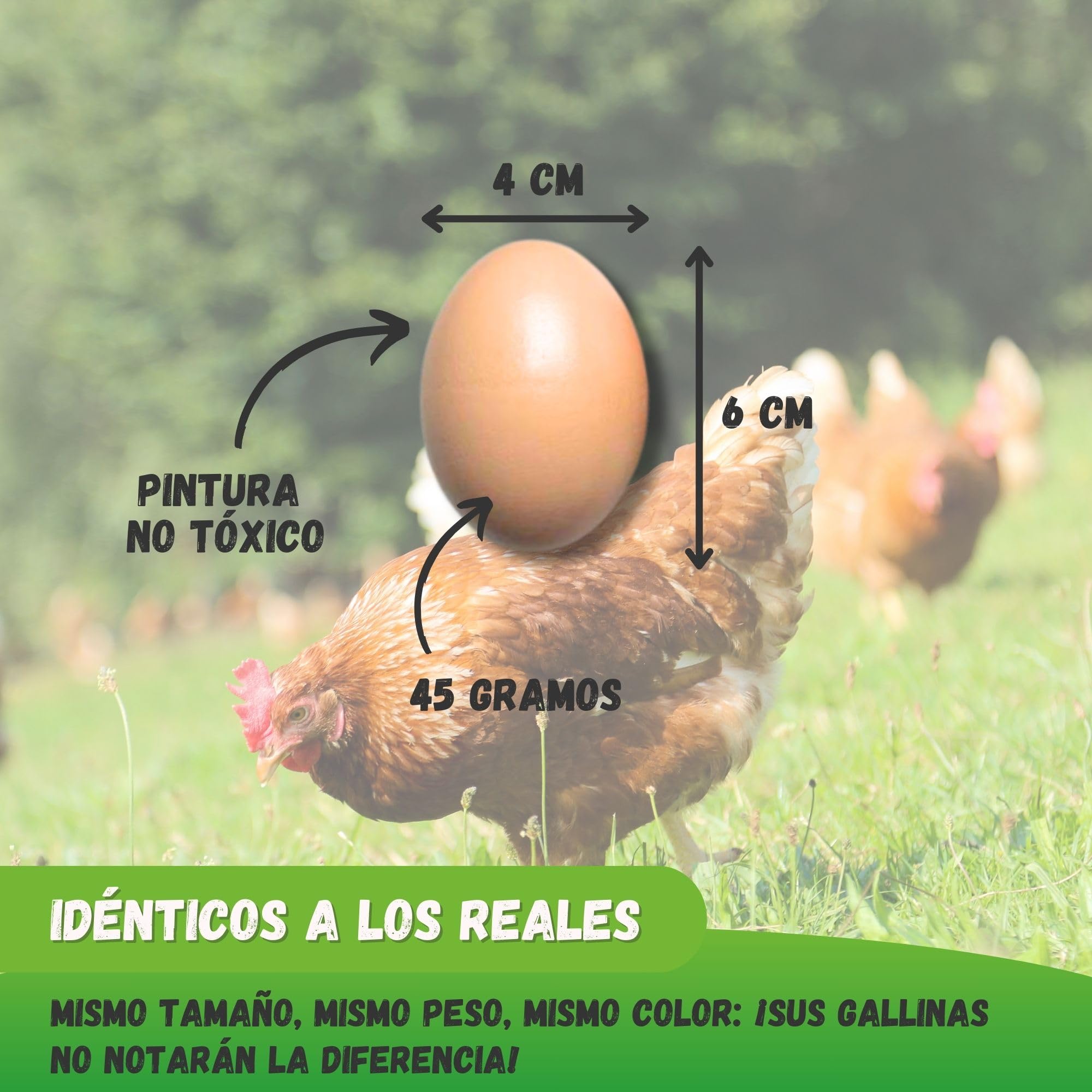 JARDEN Pack de 5 Huevos Falsos de Madera para Gallinas – Huevos Nido Realistas para Estimular la Puesta
