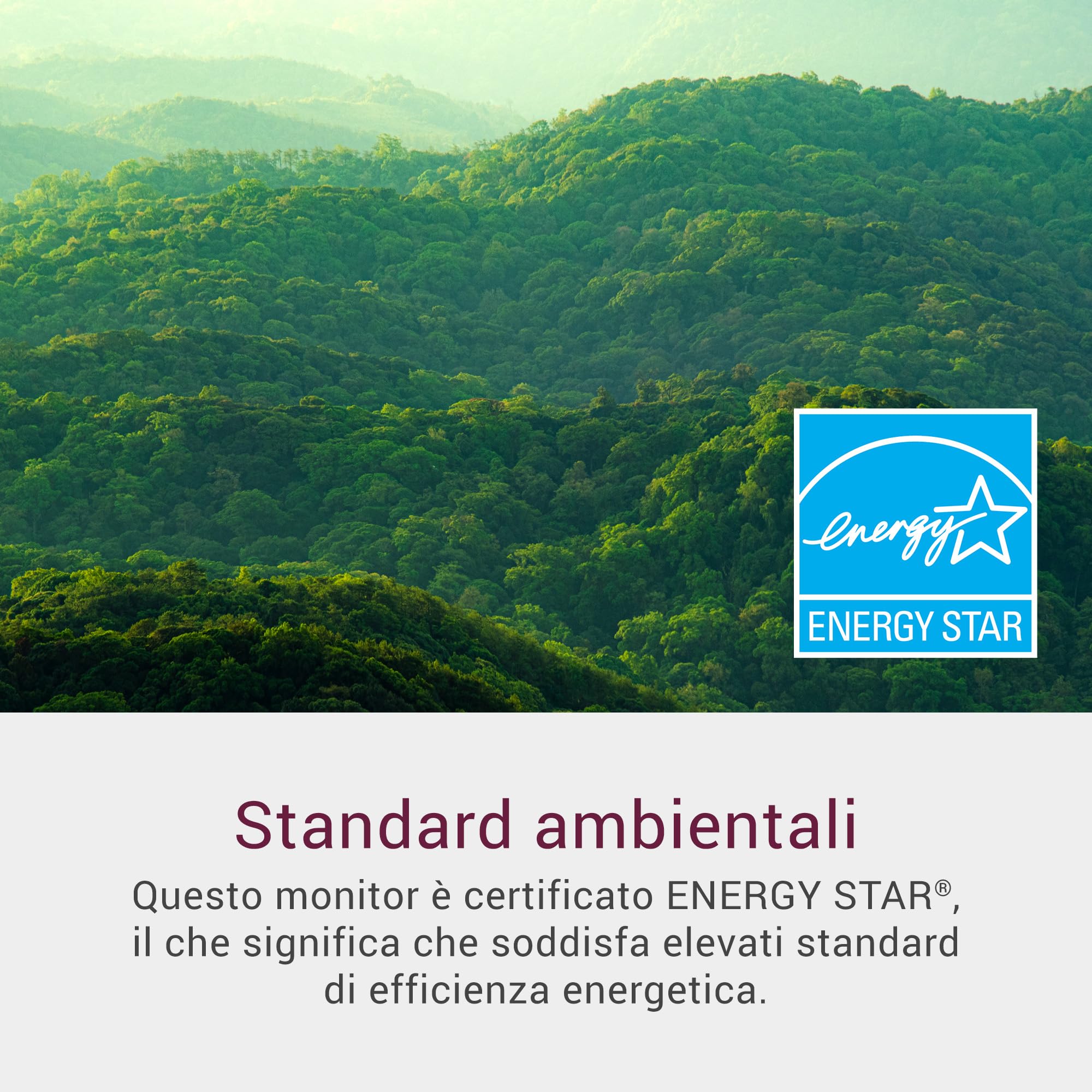 Dell 27 Monitor - SE2725HM, Full HD (1920x1080), 100Hz, IPS, 5ms, VESA (100x100mm), HDMI, VGA, 3 Anni di Garanzia, Nero