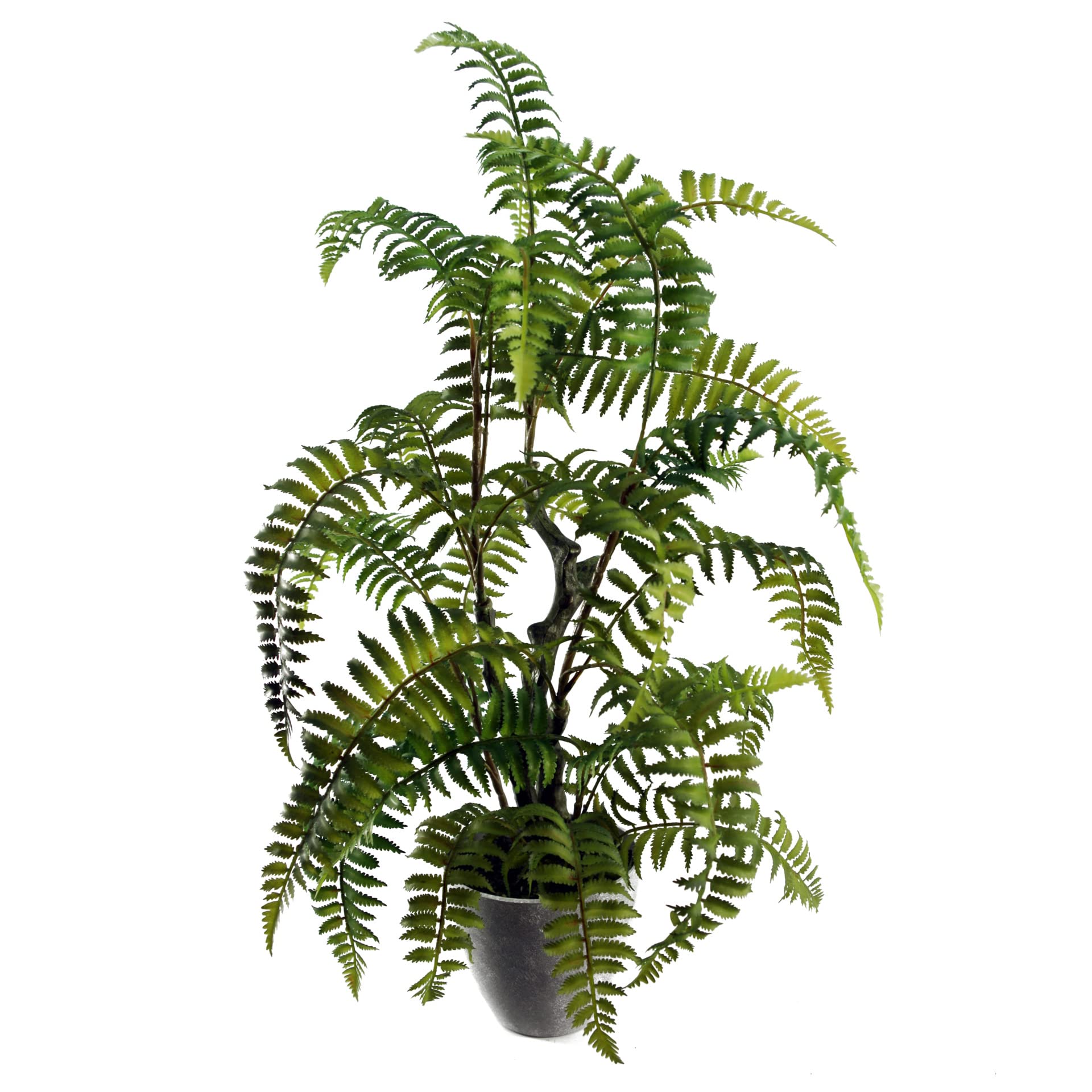 Leaf Boston Fern Artificial Realistic Natural Look Moss Fern In Pot, 70 Cm 70Cm