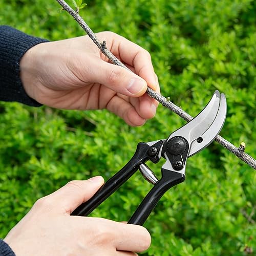 Miniatura 8 de Patio Loppers Herramientas de jardín, kit de 3 piezas con podadora manual, tijeras de cortar setos y podadora de derivación tijeras de podar para