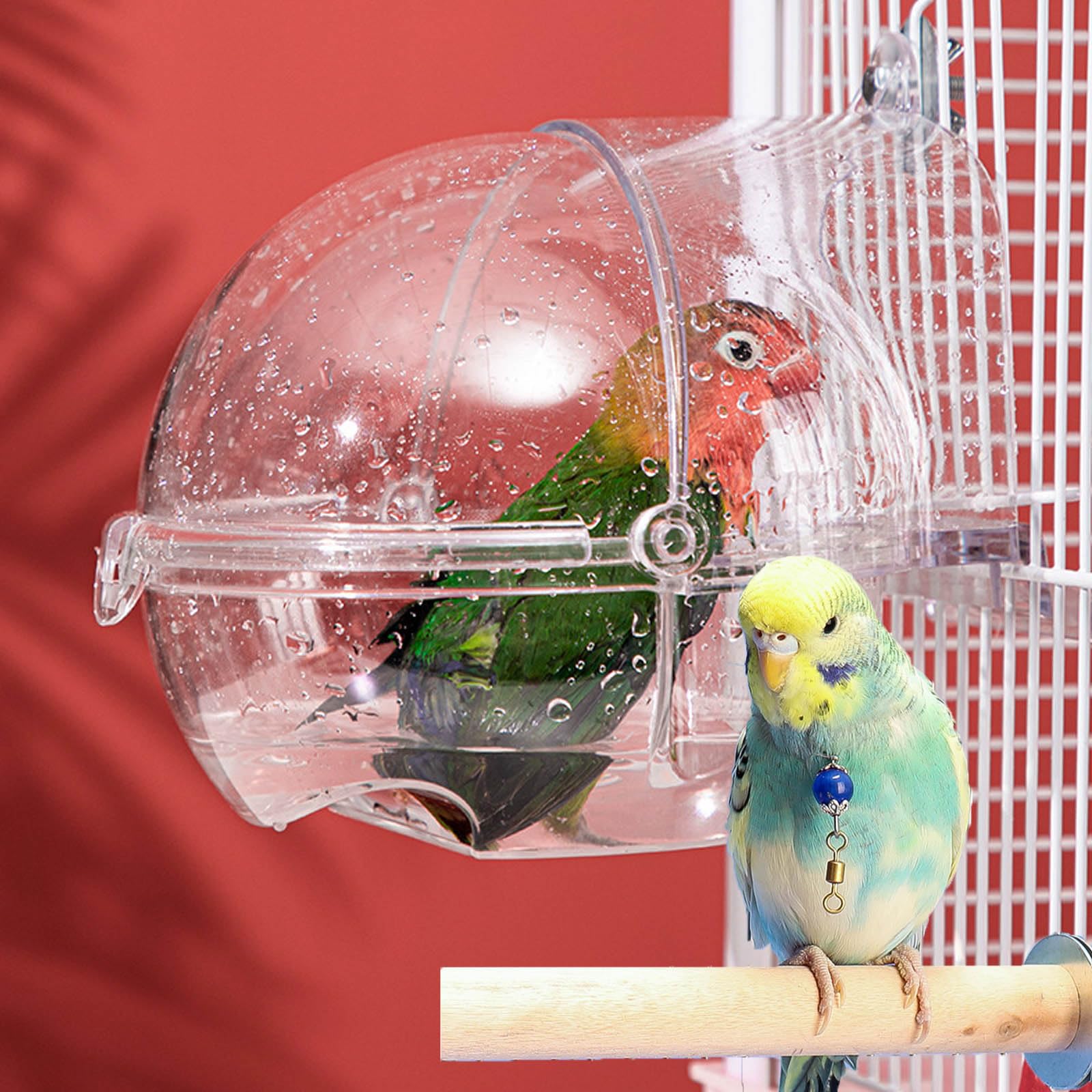 Amazon.co.jp: Ifukens バードバス インコ 水浴び止まり木付き鳥