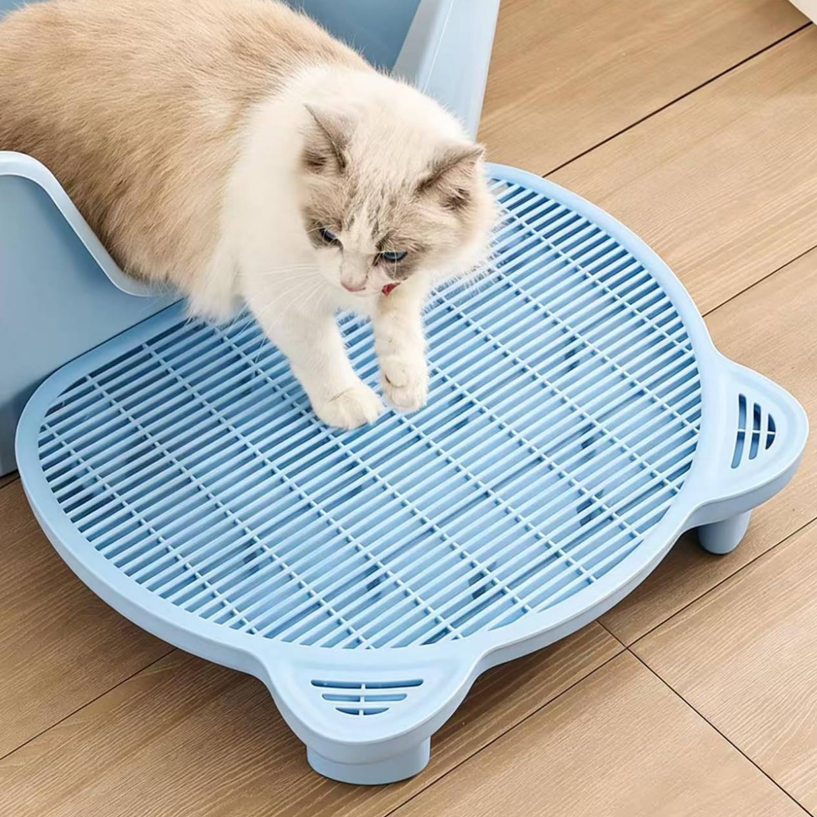 Katzenstreu Rampen, Katzenstreu Auffang Tritthocker, Katzenstreu Tablett Matte Spritzen von Sammelgut, sorgt für die Reinigung zu Hause, doppellagige Matte