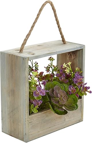 Miniatura 2 de Nearly Natural 6300 Echeveria - Marco colgante de suculentas y eucalipto