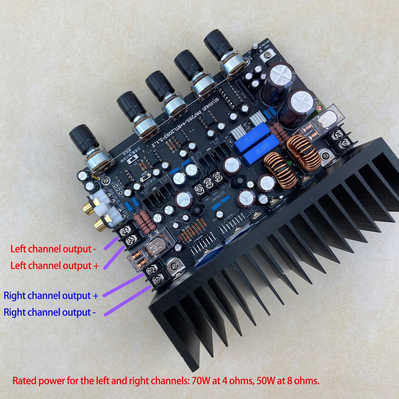Placa de circuito amplificador integrado de 2.1 canales, doble entrada de potencia, 100 W, 200 W, acabado de salida de subwoofer con disipador de calor de metal, salida de batalla, placa
