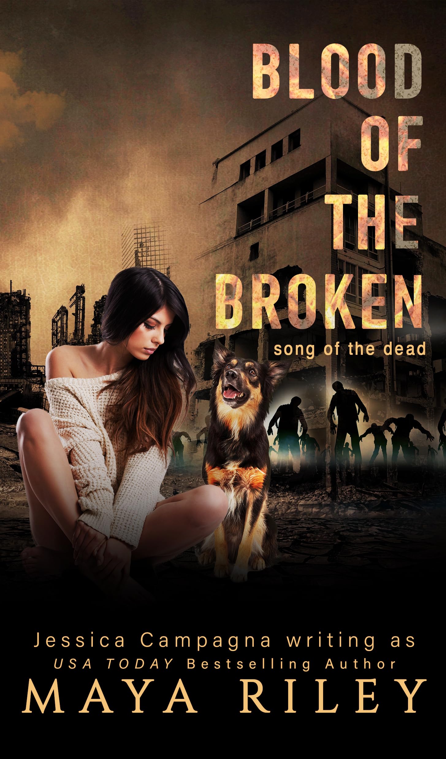 Blood Of The Broken (Song Of The Dead Book 6)