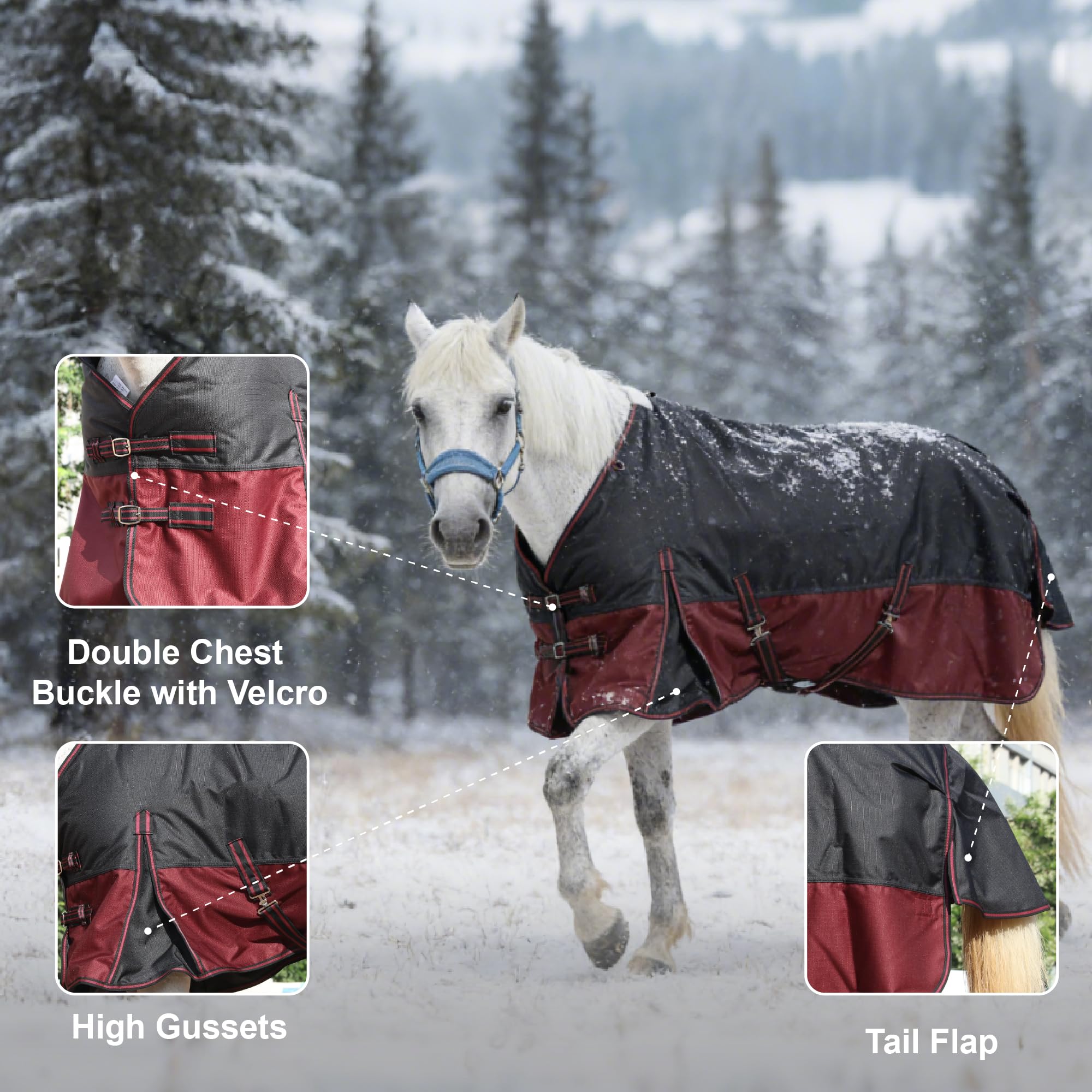 Coperta Per Cavalli Showman 1200D Stampa Mucca: Impermeabile E Traspirante, Taglia Full