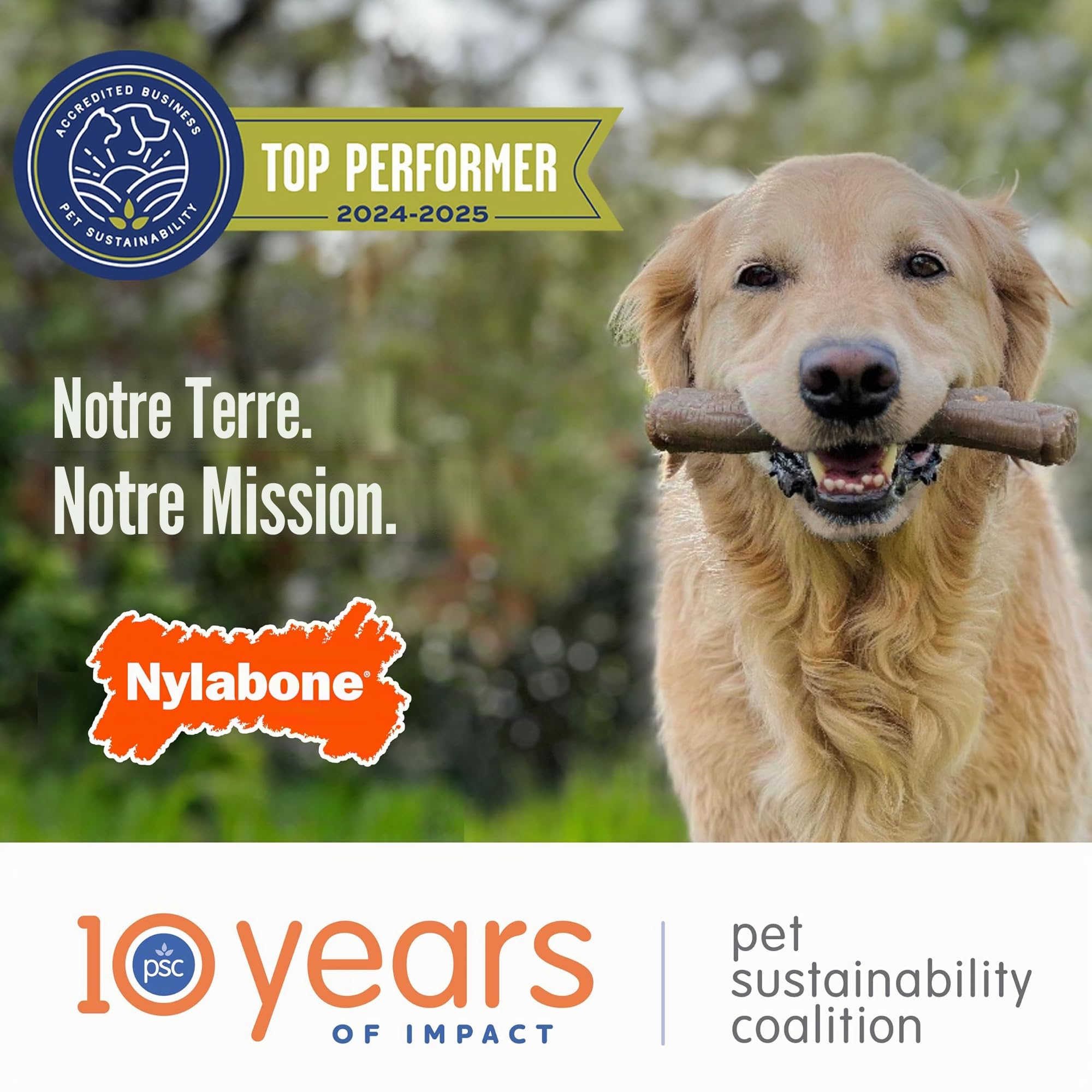 Nylabone Jouet à mâcher résistant Dura, arôme poulet - Jouet à mâcher pour chiens à mâchouillage extrême - XXL - Convient aux tout grande chiens pesant 23 kilos et plus